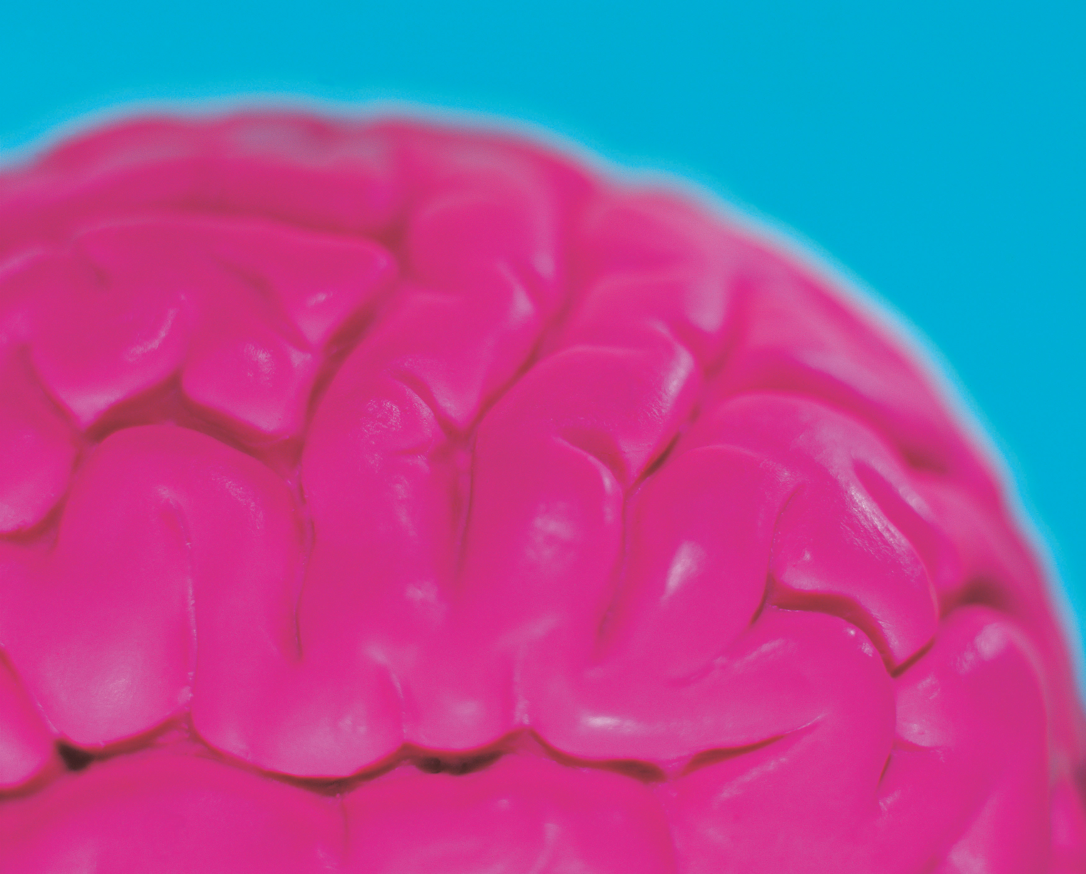 Podcast: Sneak-peek of the 2025 SfN annual meeting 