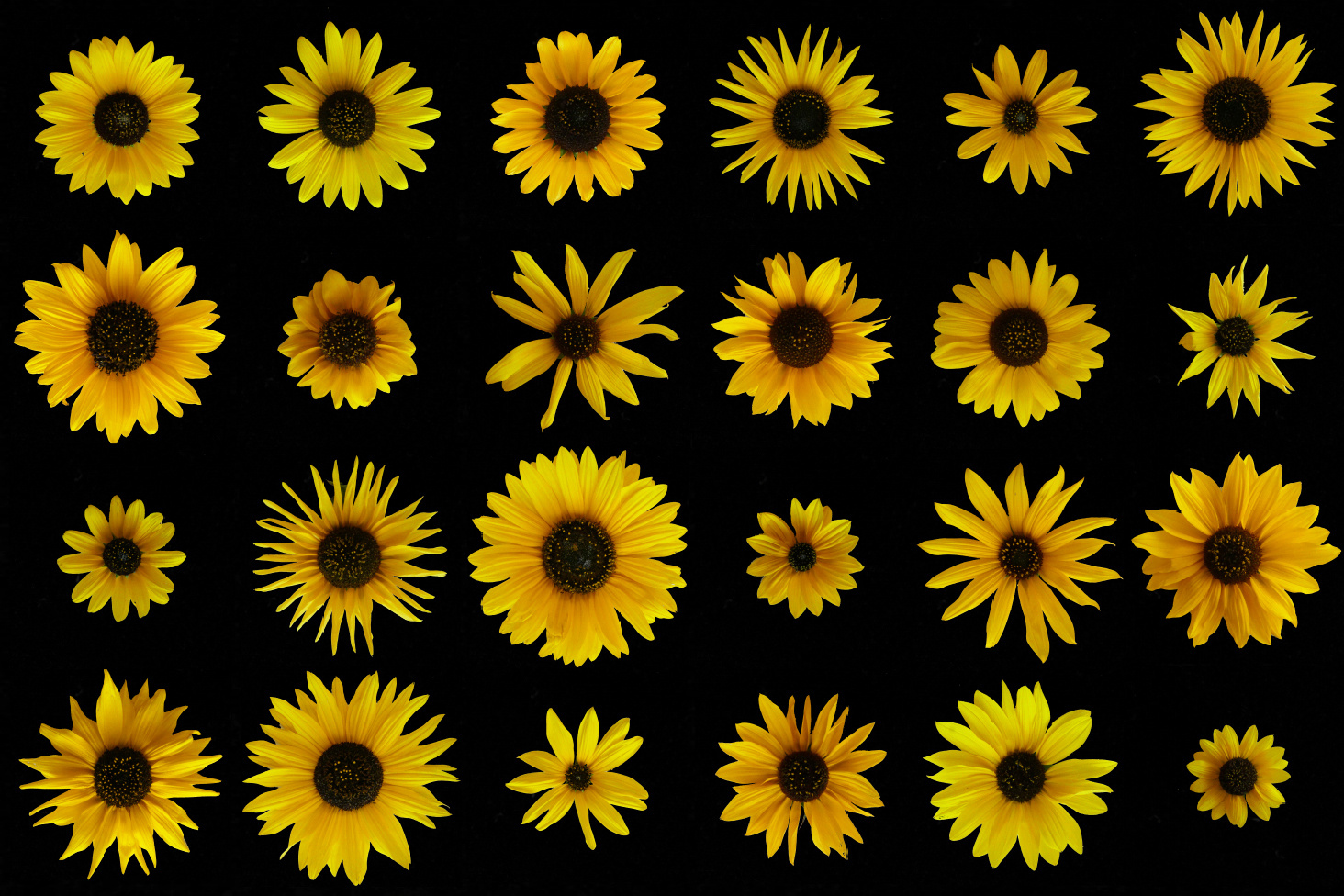 Adaptive alleles stick together