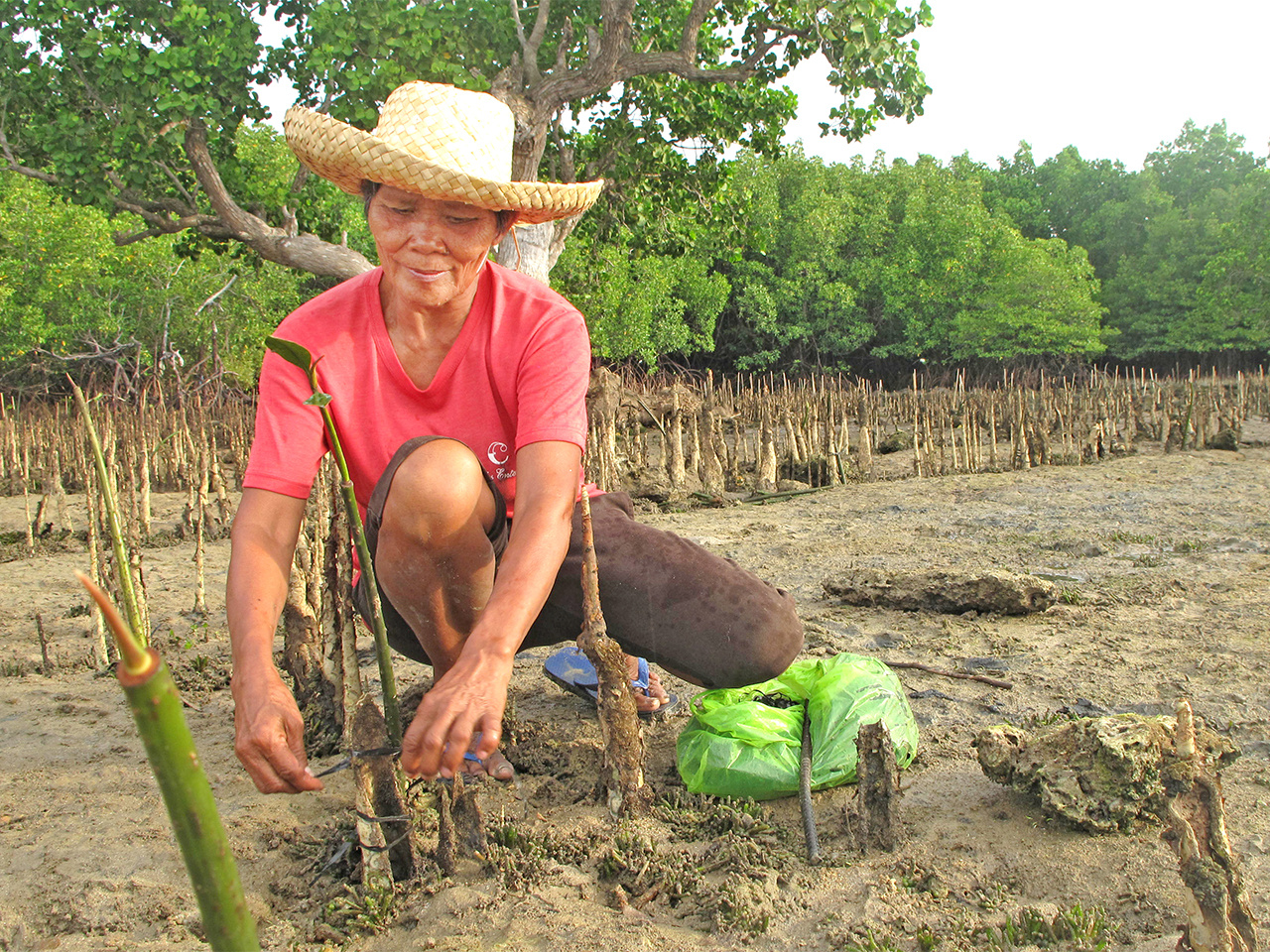 Sparking hope to solve the climate crisis