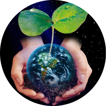 Go to the profile of Fei Li