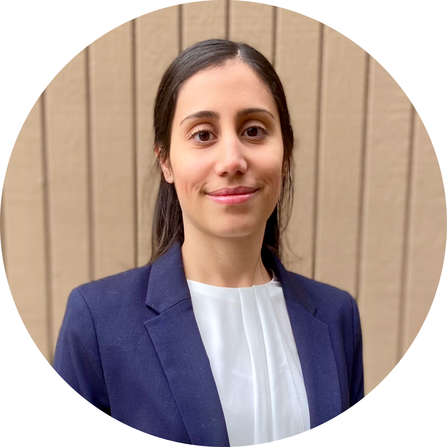 Go to the profile of Gozde Demirer