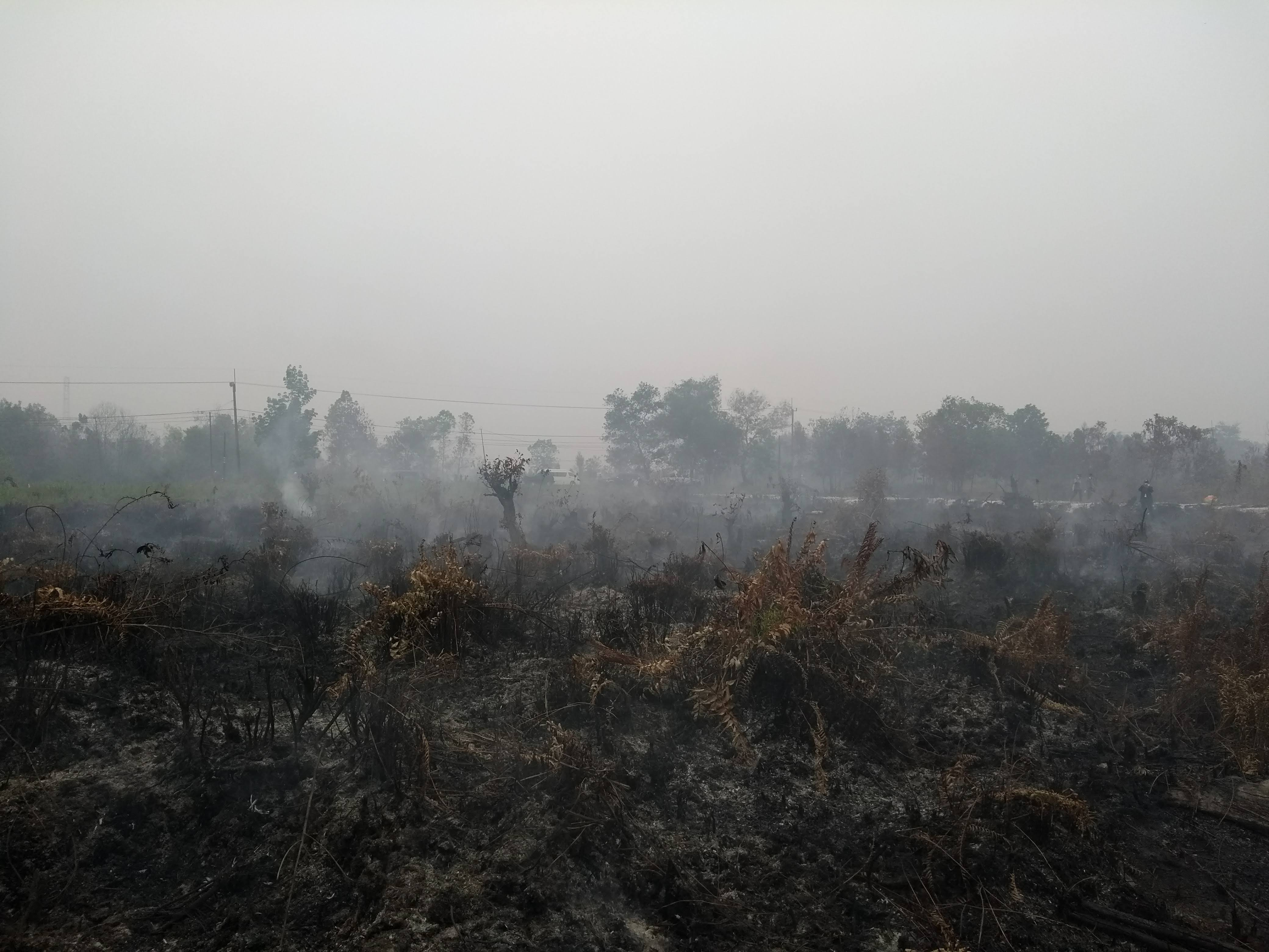 Assessing air quality impacts of peatland fire smoke in Indonesia