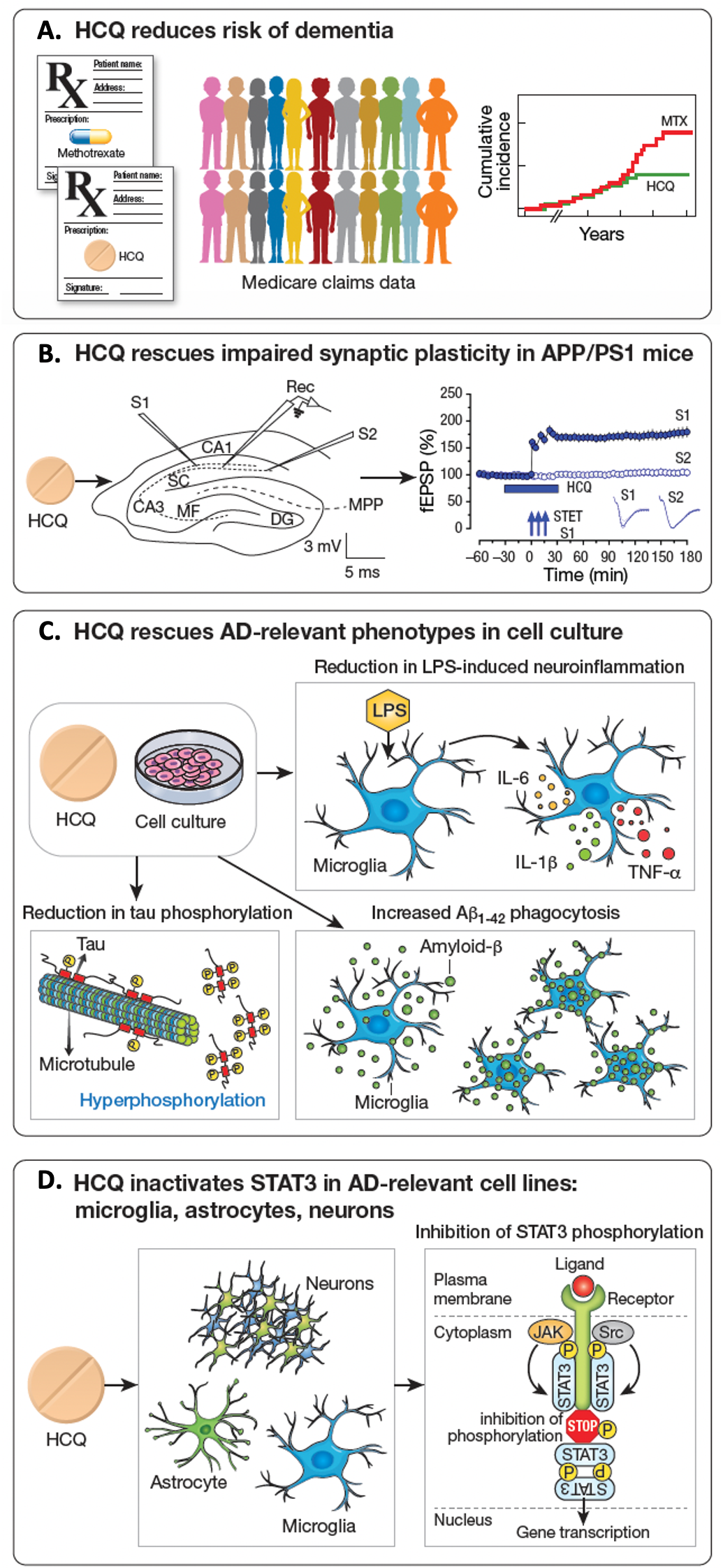 Hydroxychloroquine and Alzheimer’s disease