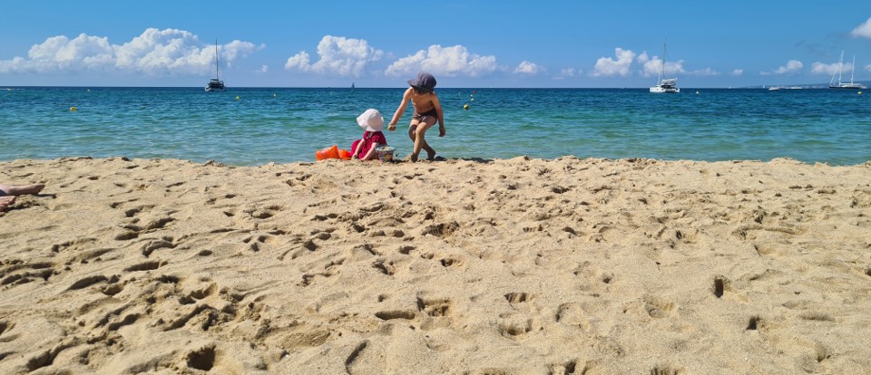  The perfect bioinformatic toolbox for picnic on the beach