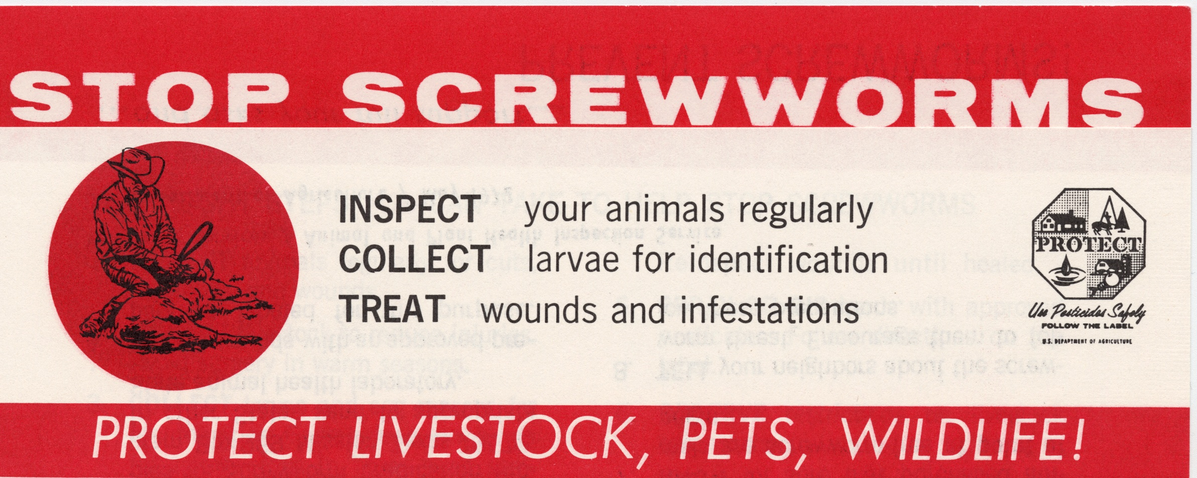 The resurgence of New World Screwworm in the US