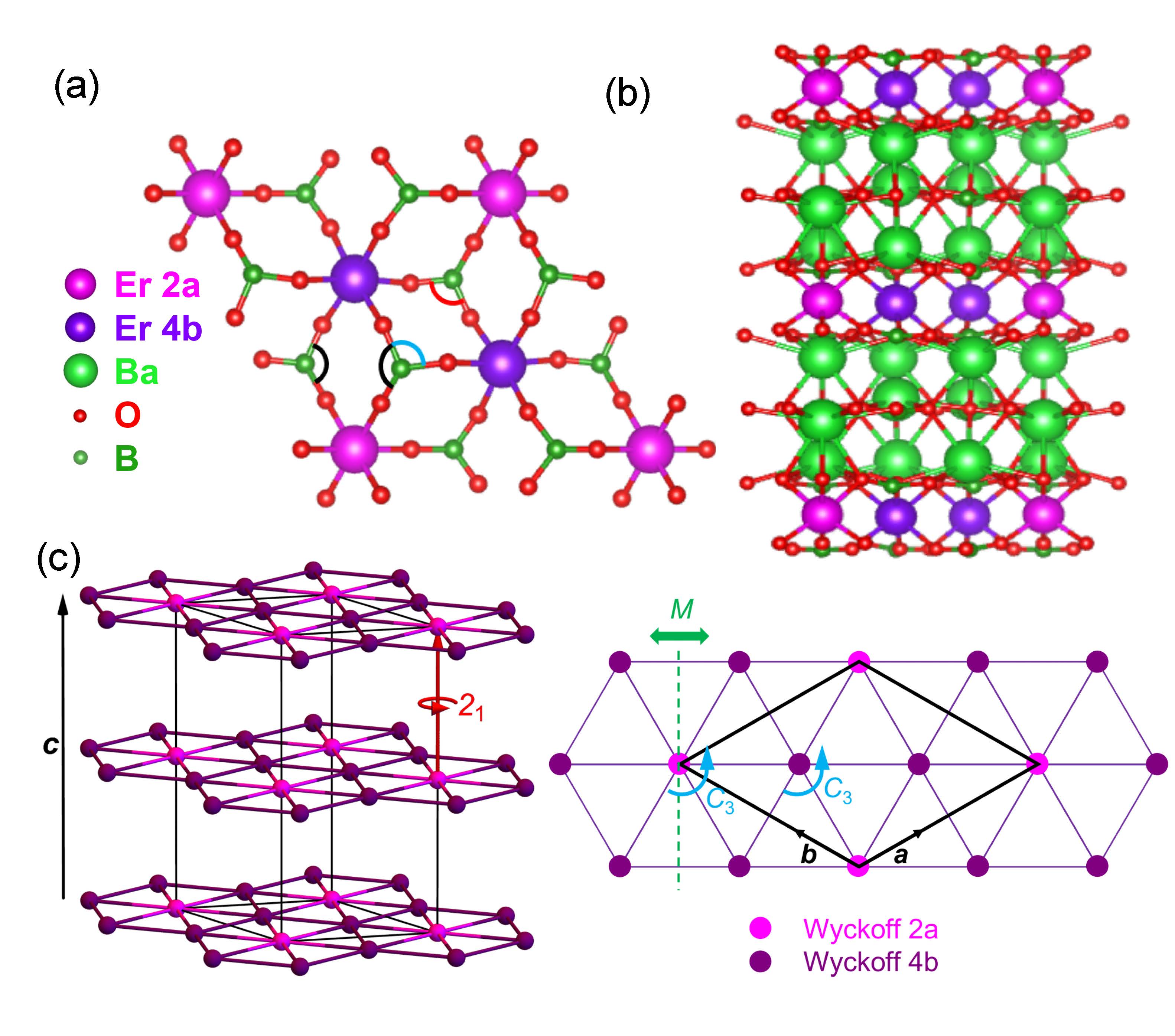 Magnetic Marvels: Unveiling Triangular Lattice Secrets in Ba3Er(BO3)3