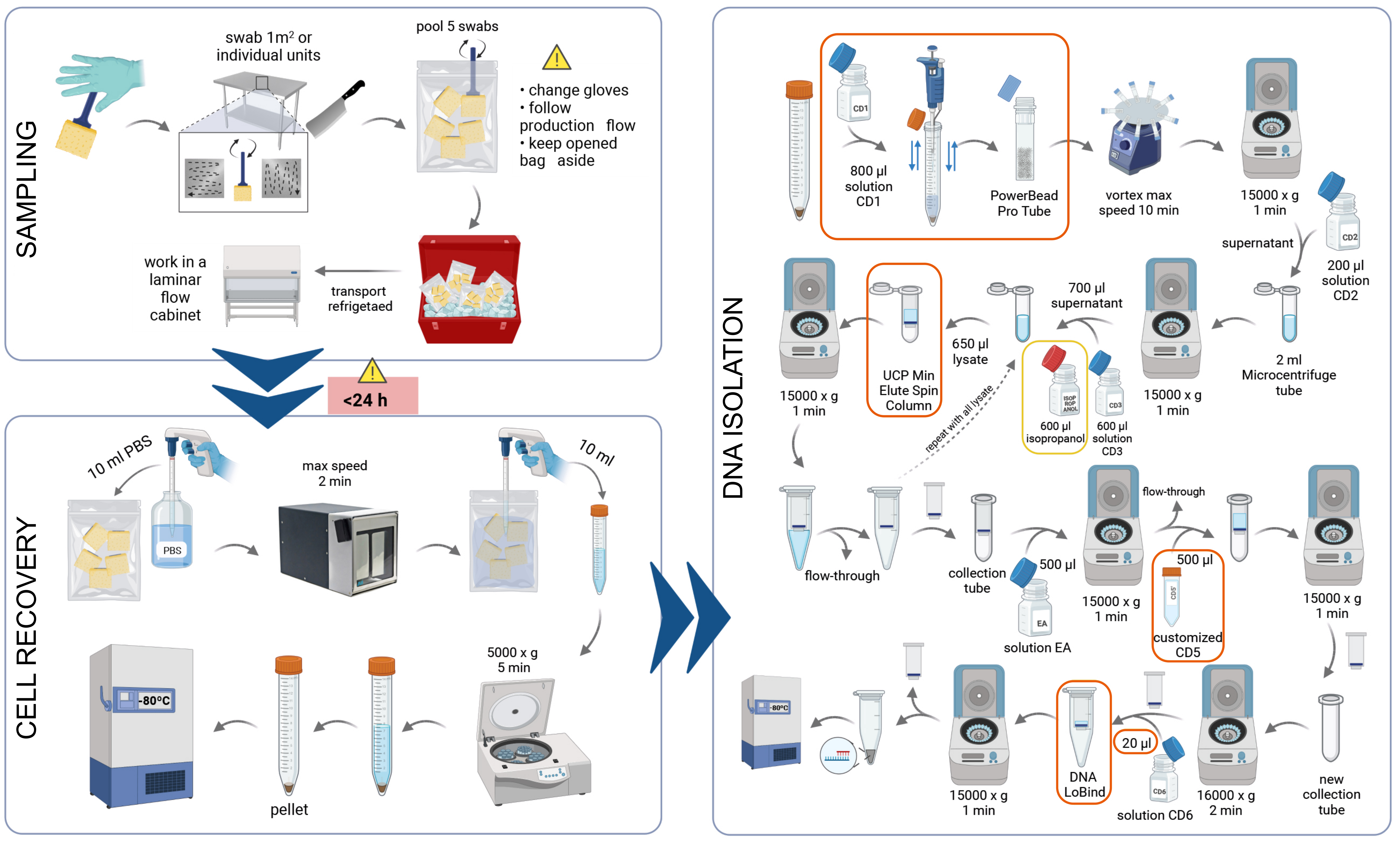 Improved sampling and DNA extraction procedures for microbiome analysis in food processing environments