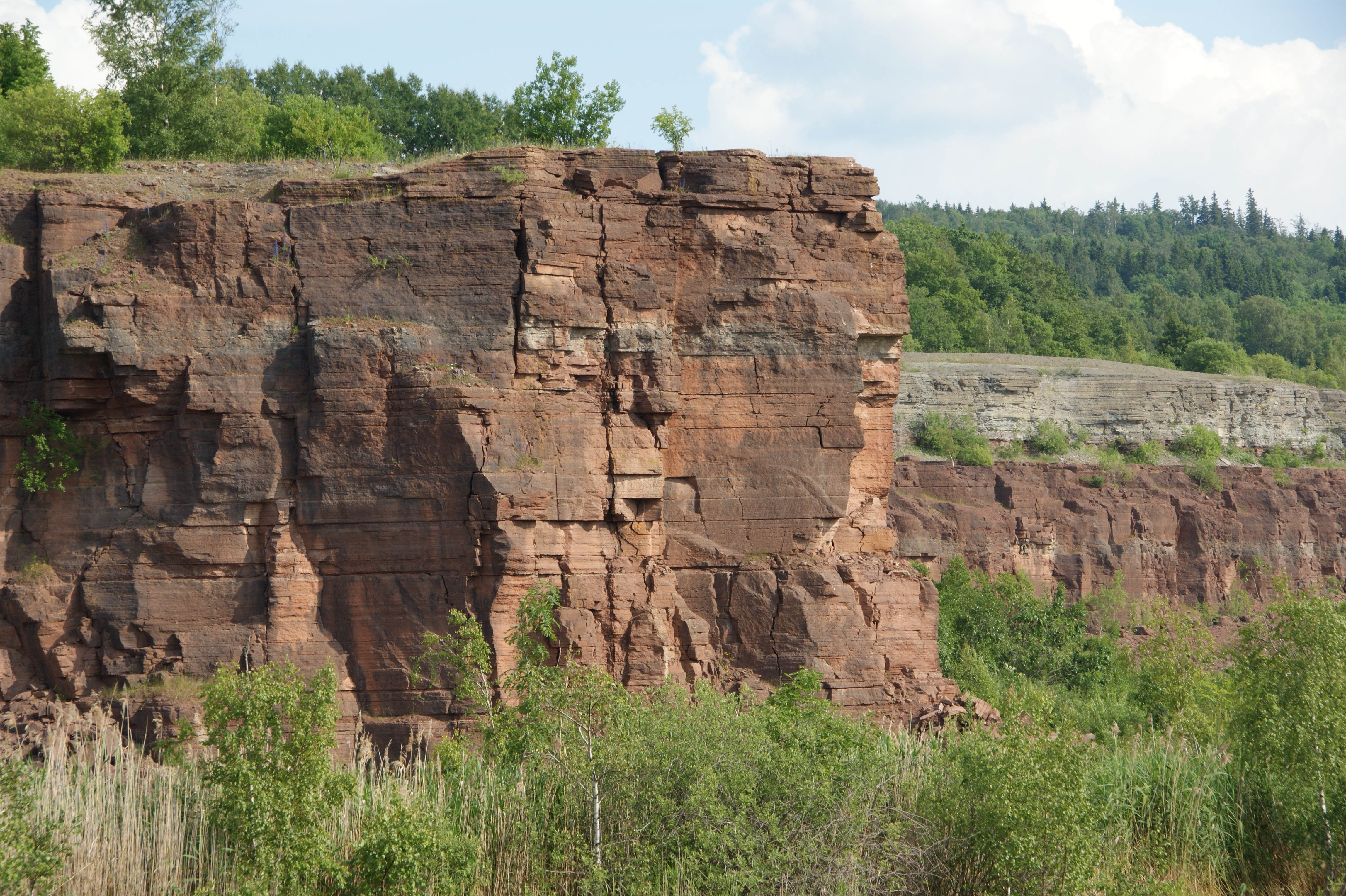 Oxygen and Ordovician life: a Baltoscandian case study