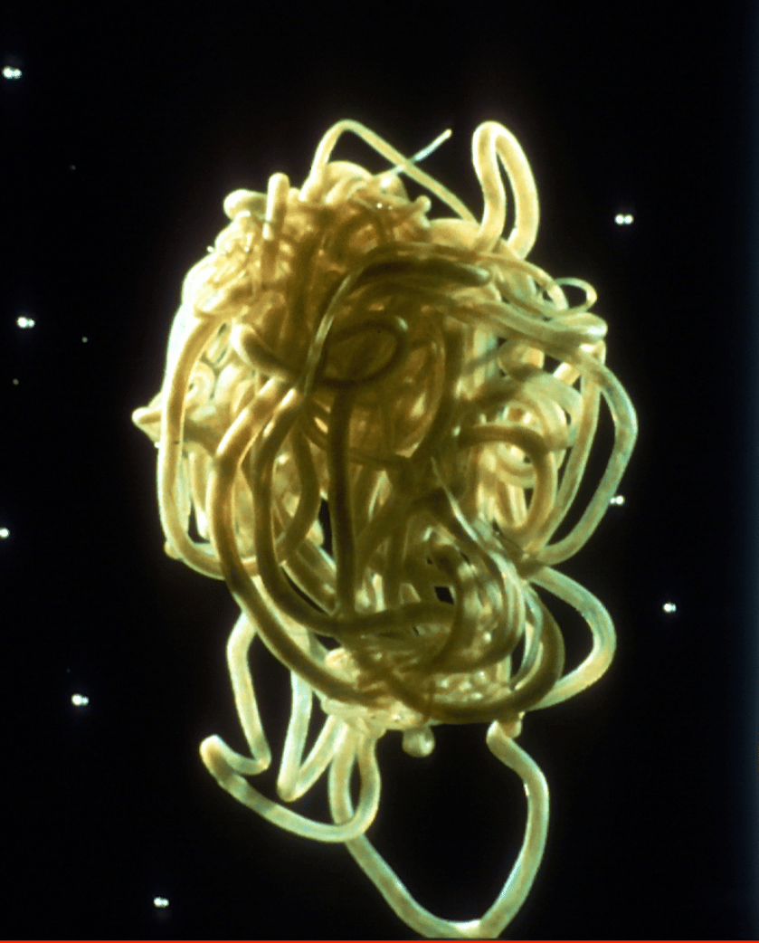 River blindness agent genetic diversity – setting a baseline before MDA 