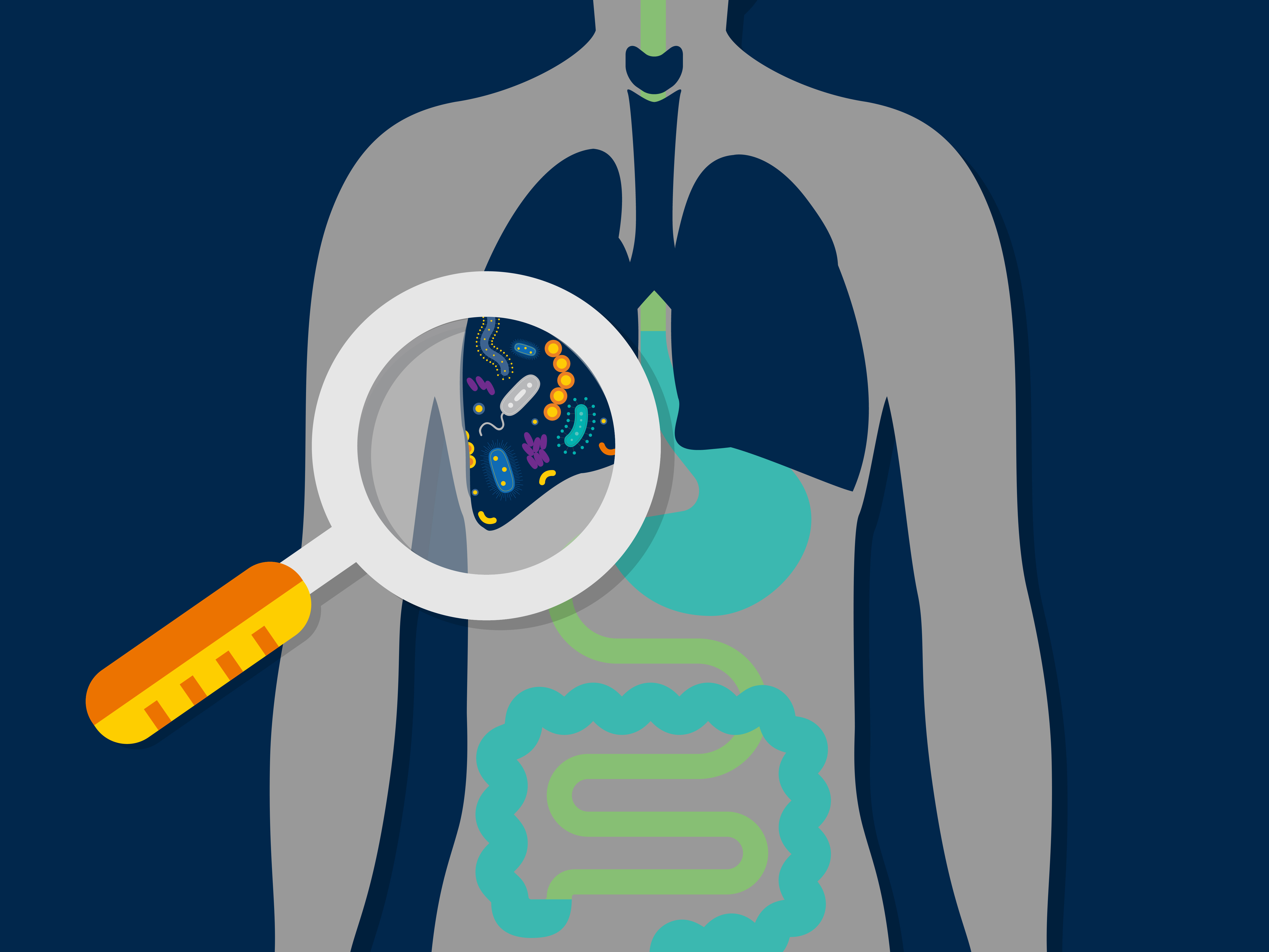 The story behind the study: gut bacteria in the lung microbiome in sepsis and ARDS