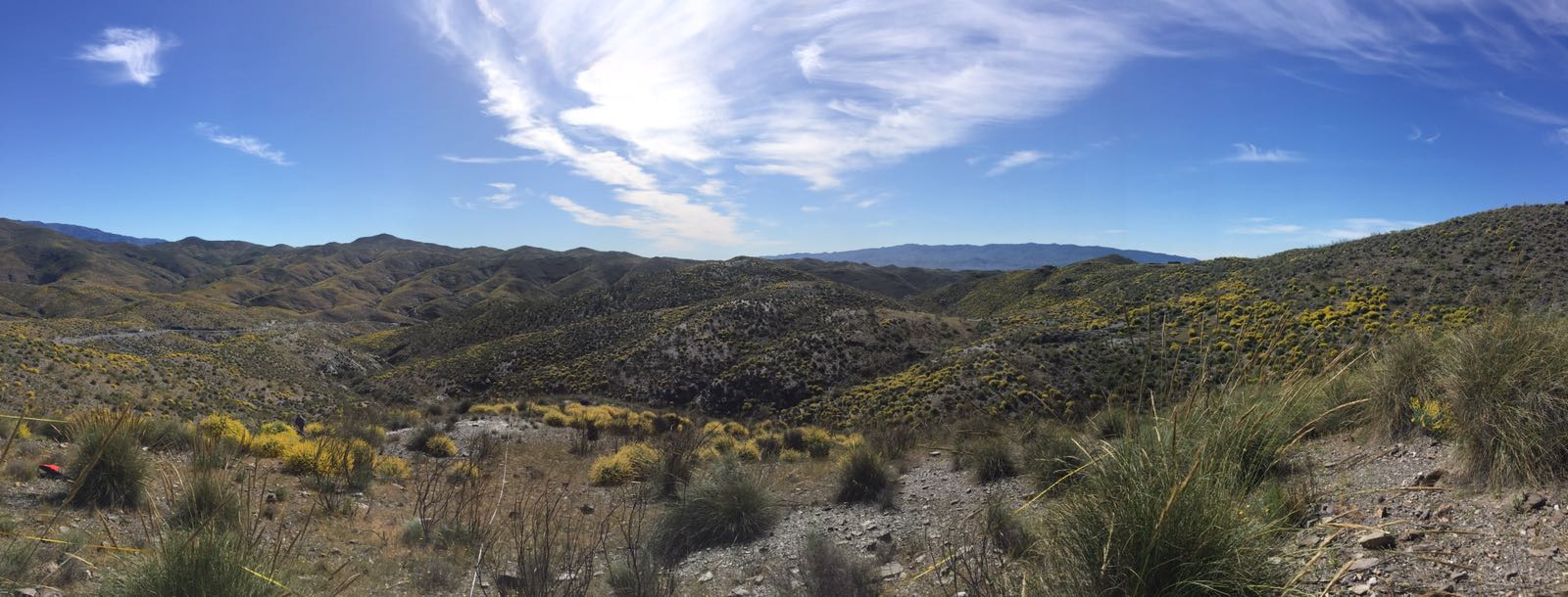 Addressing soil microbial respiration responses to temperature. Do soil microbial respiration adapts to ambient temperature in global drylands?