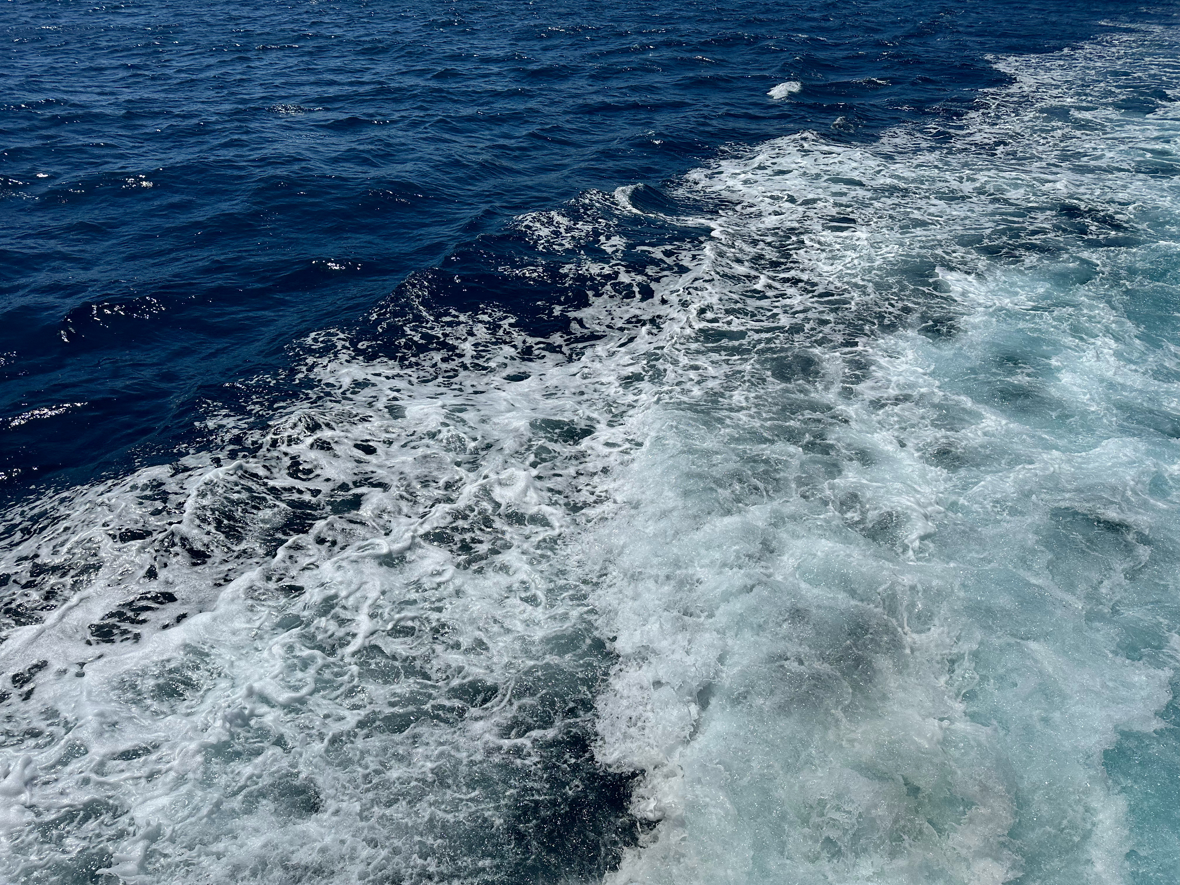 Northeast Pacific marine heatwaves, why do we care and what did we find?