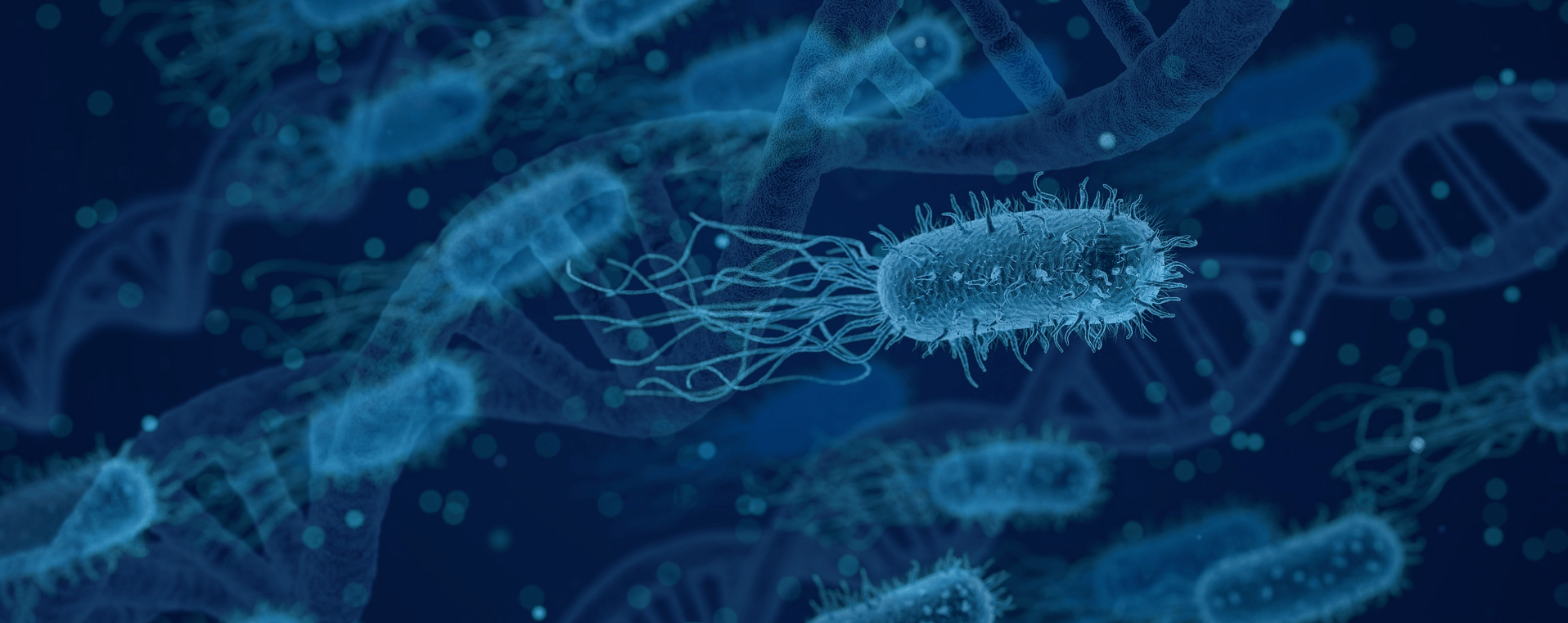 Expanding the genomic framework of the human gut microbiota