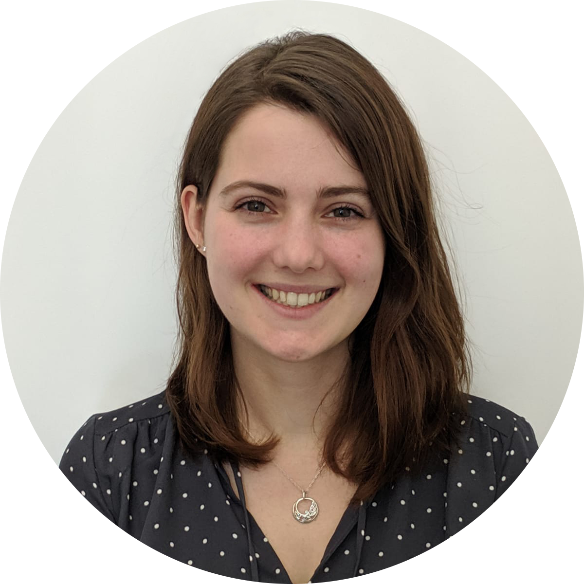 Go to the profile of Laura de Nies