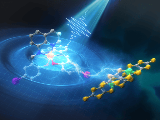 Observing Ultrafast Photoinduced Dynamics in a Halogen-Bonded Supramolecular System