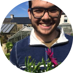 Go to the profile of Omri Tau