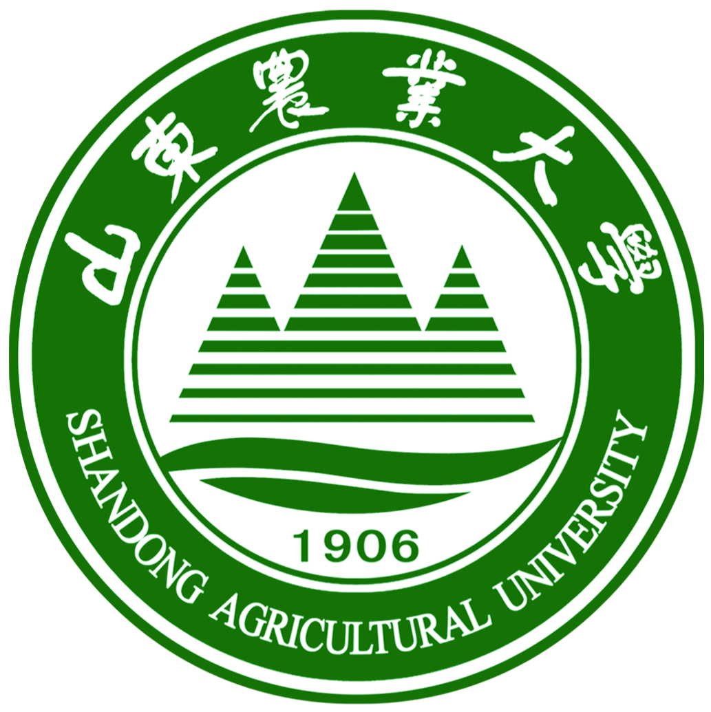 Go to the profile of Muhammad Waqas