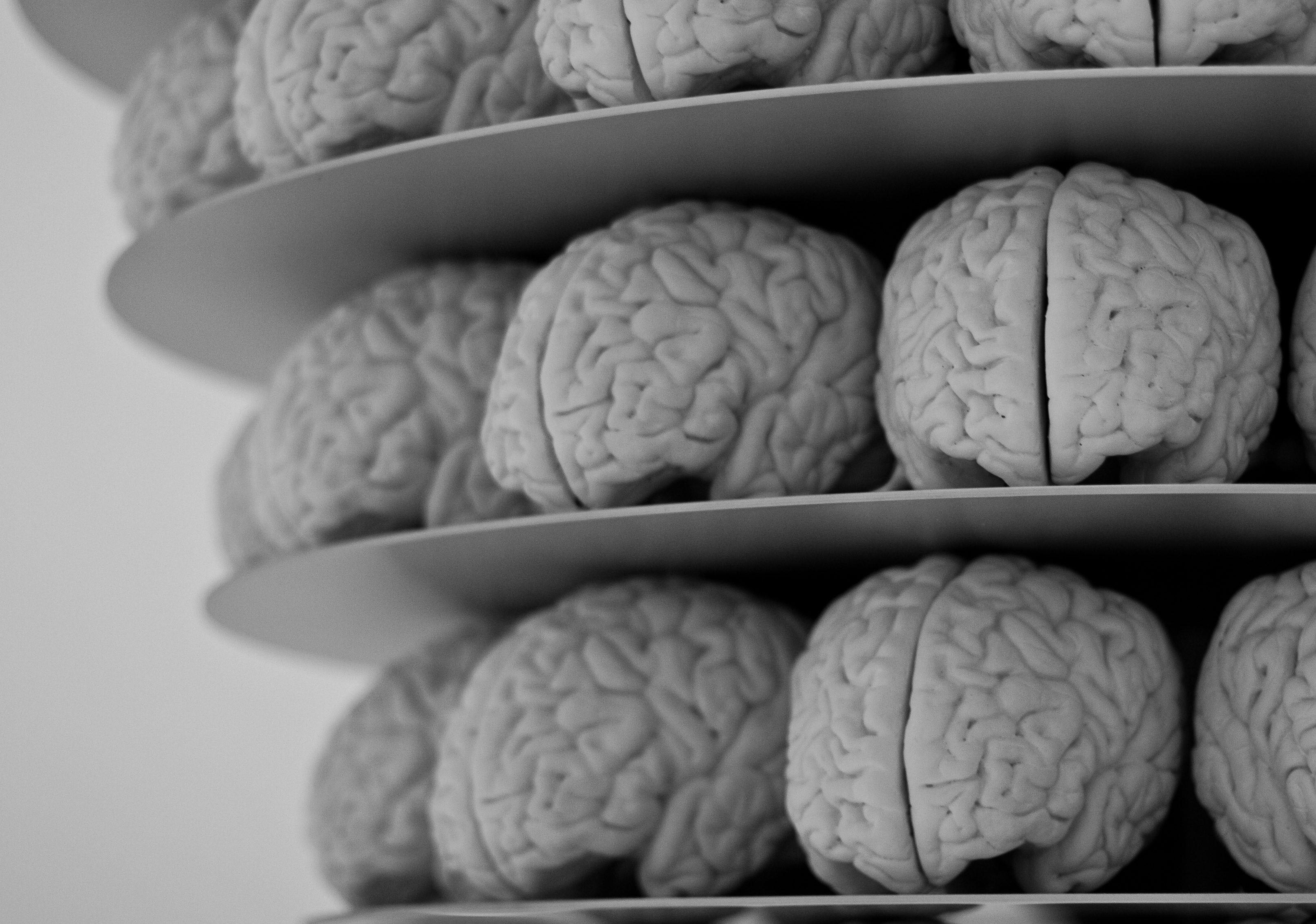 Do microbes cause Alzheimer's?