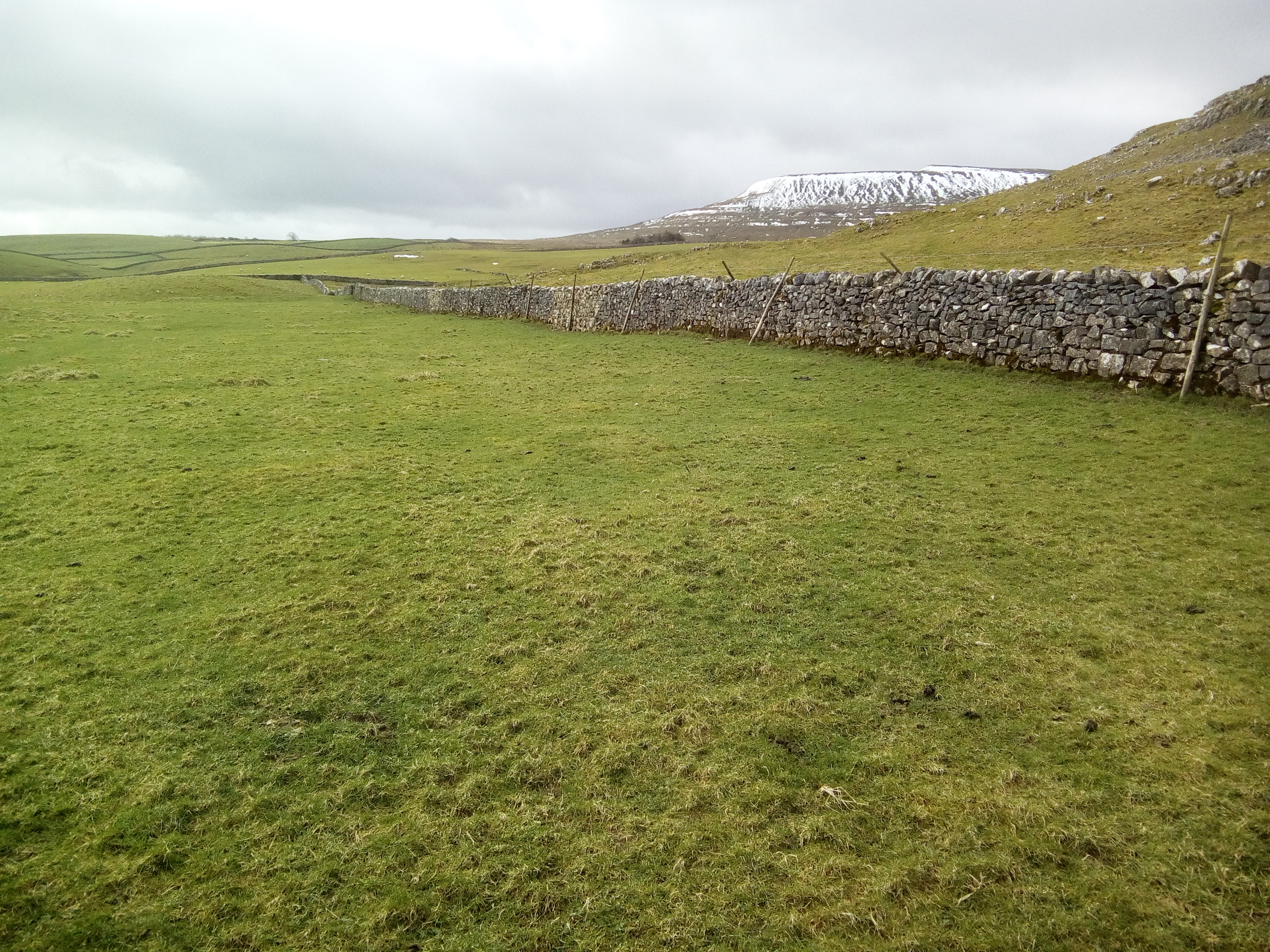 Intense droughts induce abrupt and permanent shifts in soil microbial communities