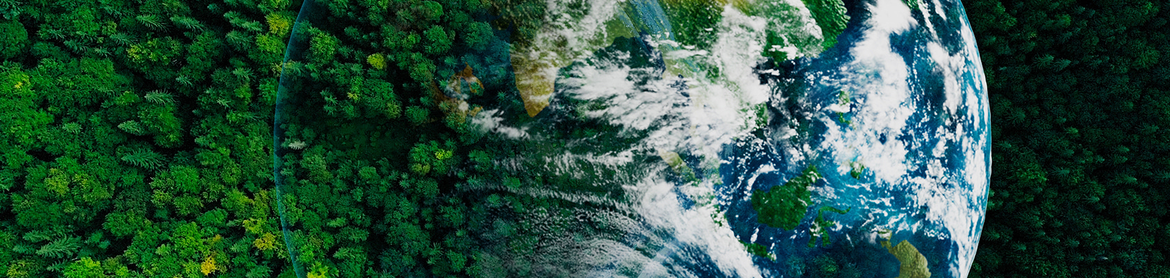 What is Science for a Sustainable Future?