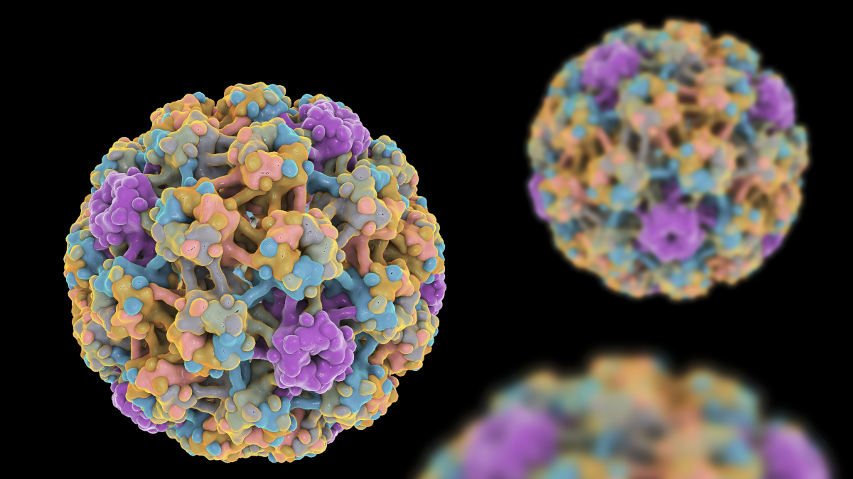Call for papers: Protein nanocages