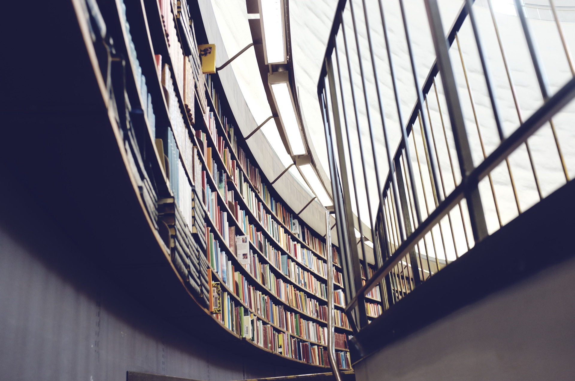 Teacher decision-making: what information is needed