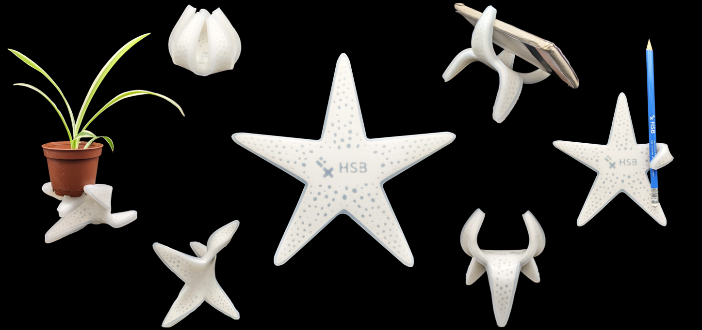 A Starfish-Inspired 4D Self-Healing Morphing Structure