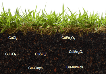 How do certain soil dwelling archaea obtain copper? 