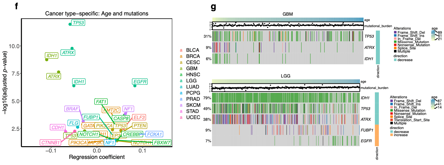 A survey of differences between cancer genomes across patients’ age