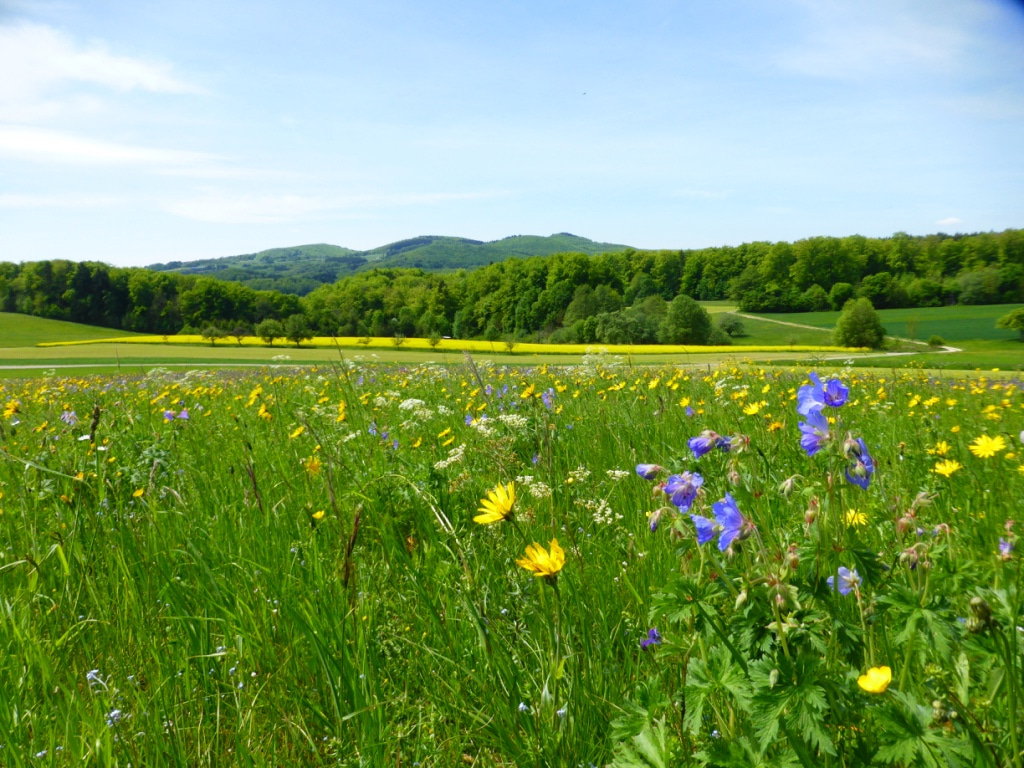 How does biodiversity across agricultural landscapes meet the needs of rural people?