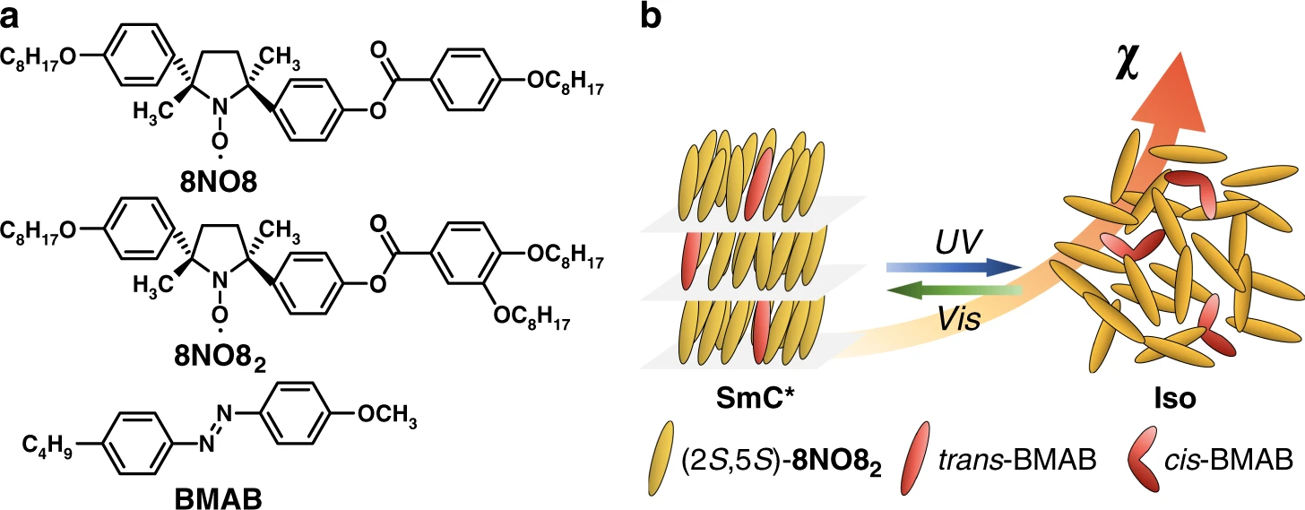 Journal Club | All-organic liquid crystals with photomagnetic response