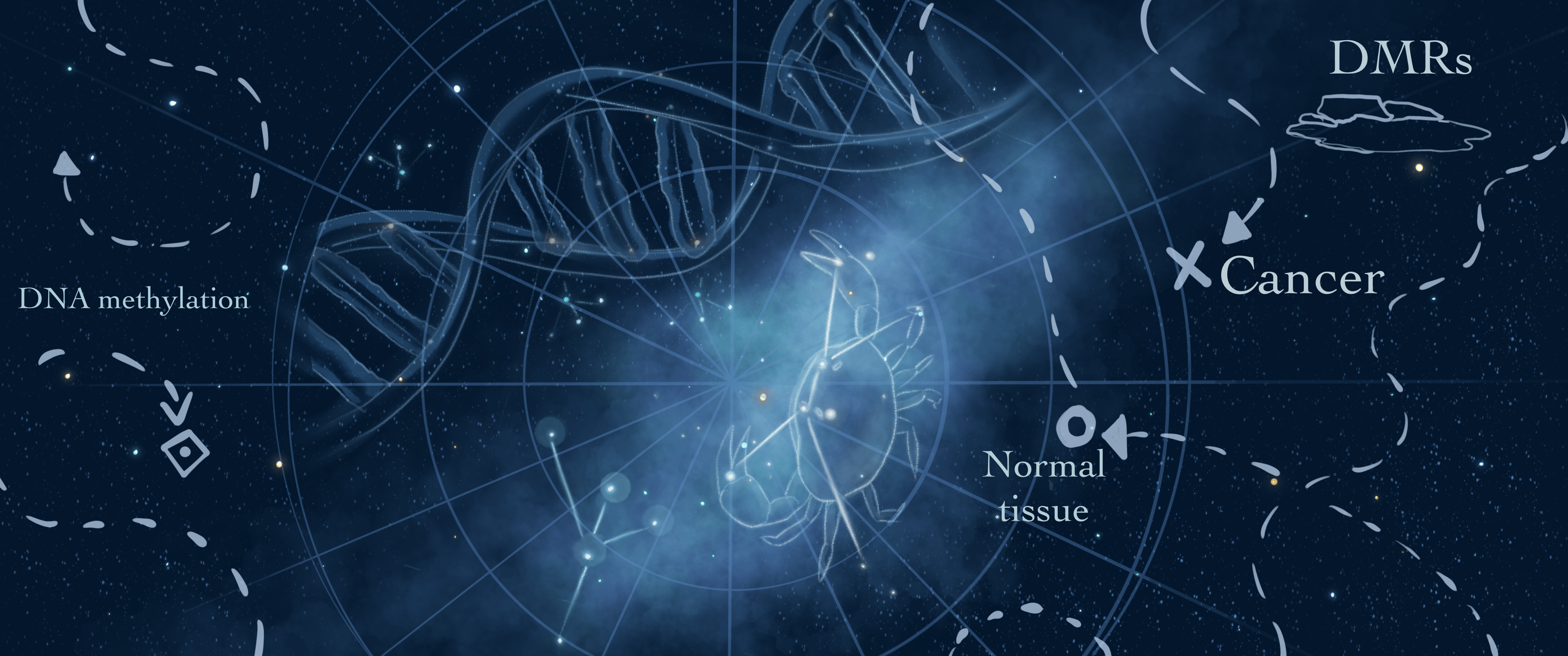 A quest to chart DNA methylation changes in cancer