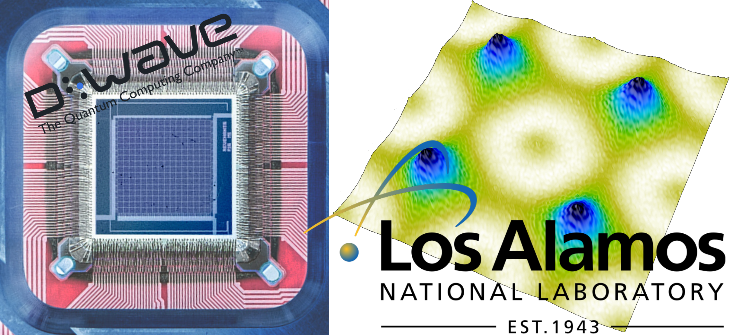 Quantum Fluctuations Become Unlikely Heroes in Promoting Order