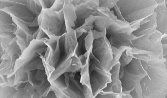 Can Single Atom Tungsten Enhance Electrocatalytic Water Oxidation?