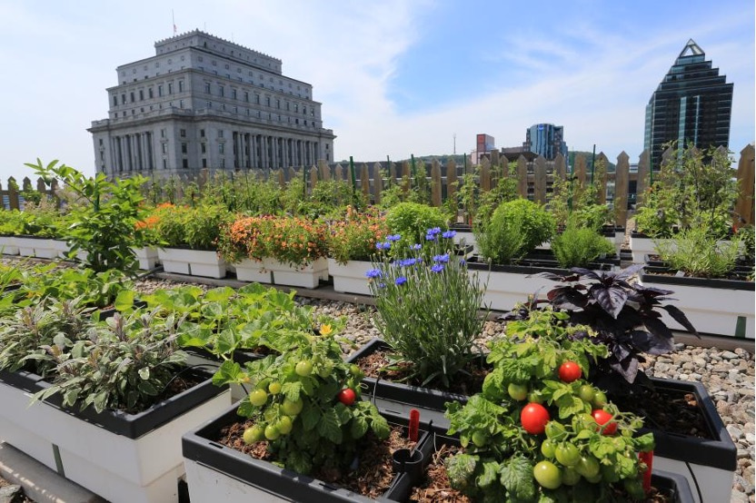 Green roofs towards urban sustainability from a nexus perspective
