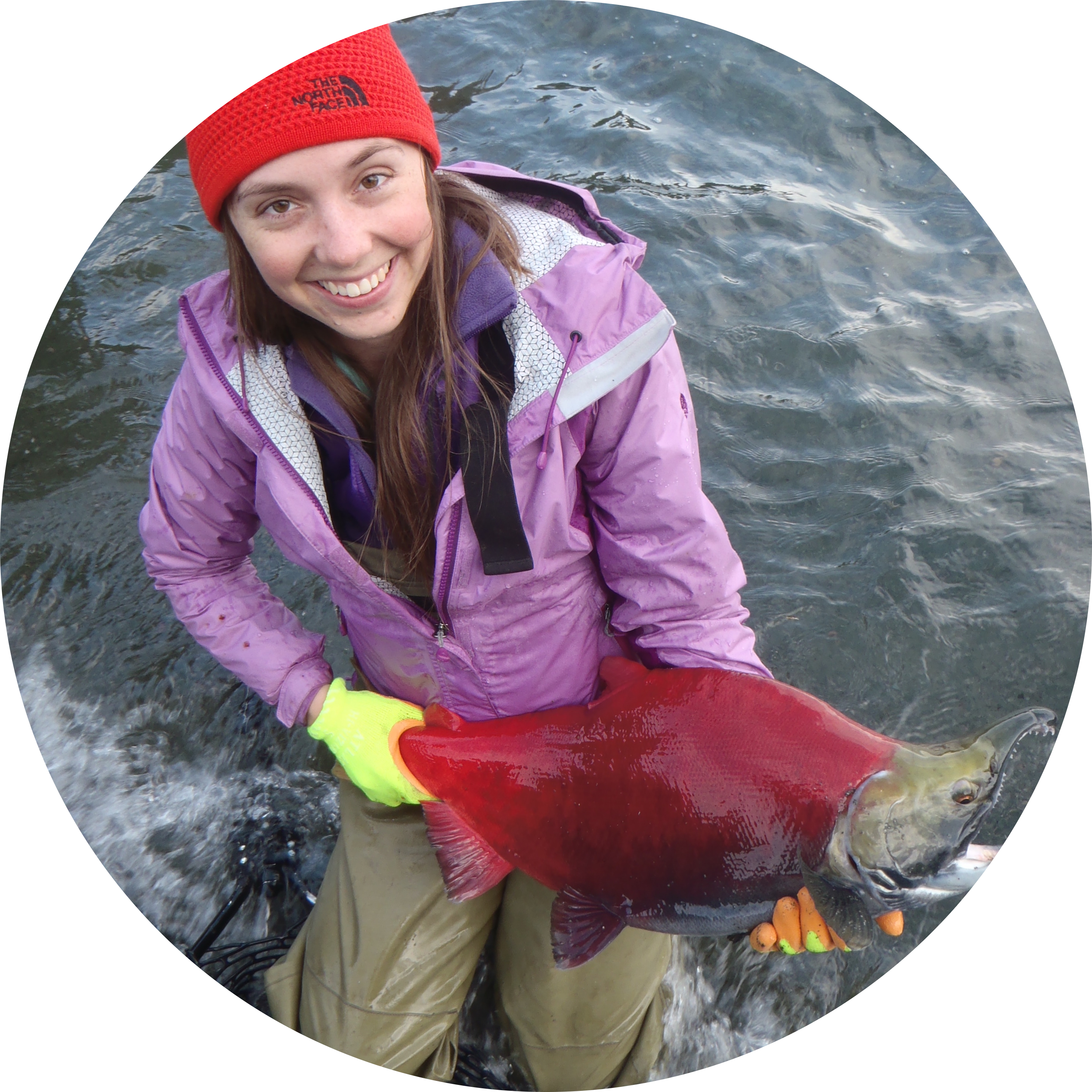 Go to the profile of Krista Oke