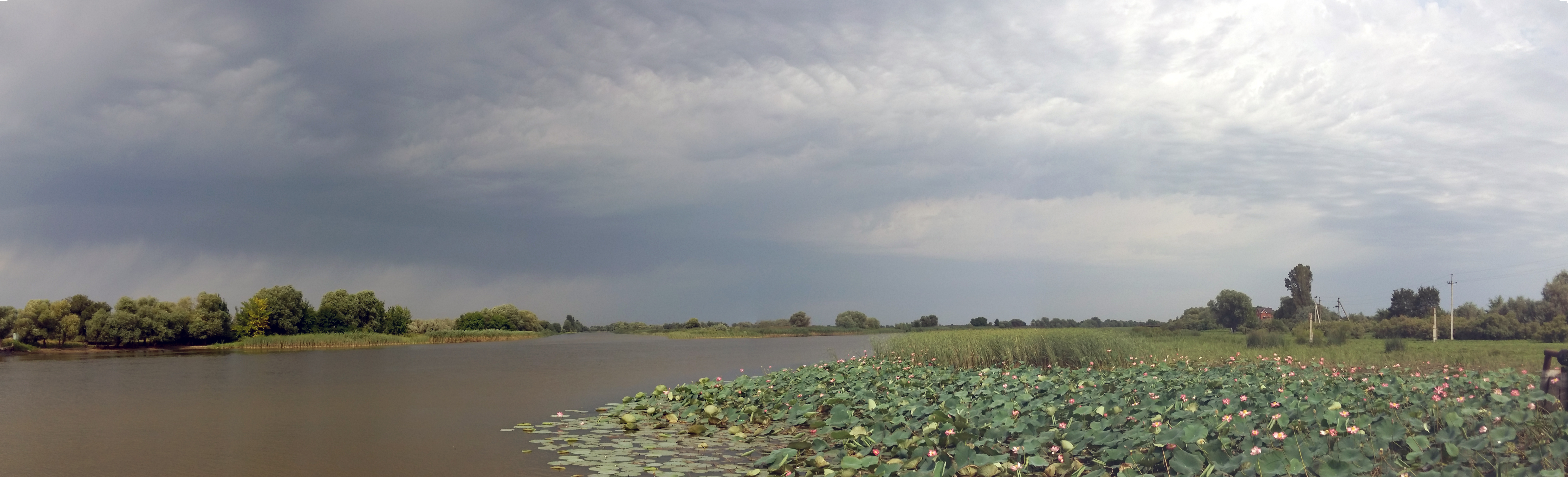 The Caspian Sea must not die