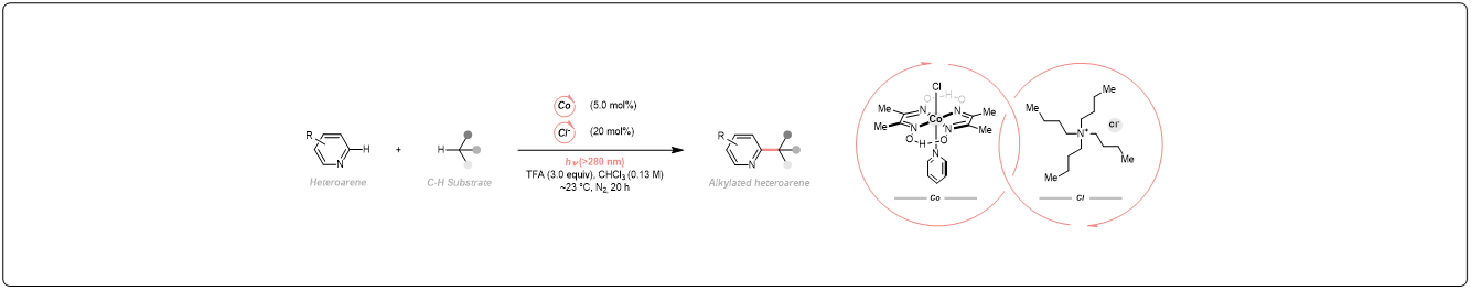 Shining light on cross dehydrogenative coupling (CDC) of heteroarenes and alkanes