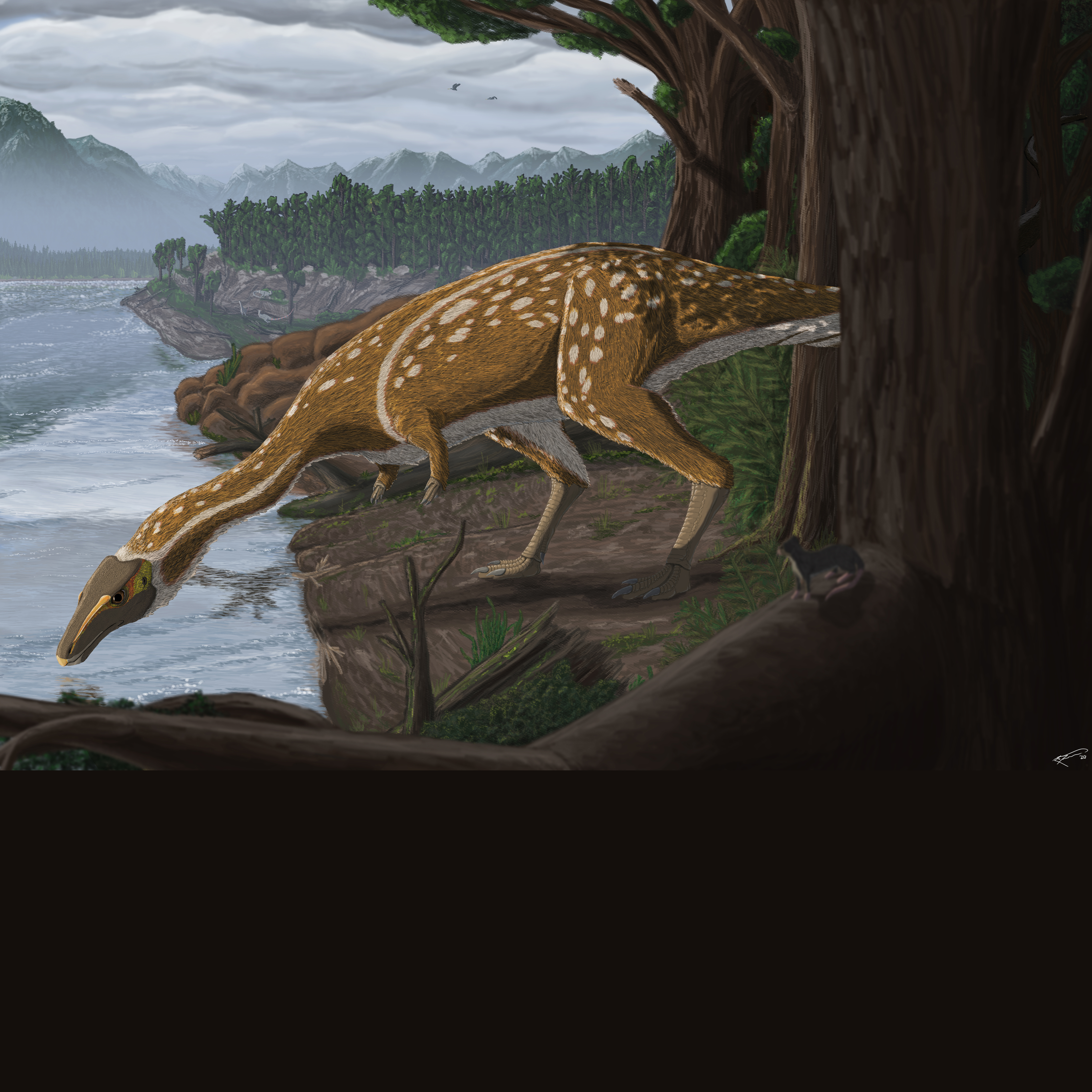 A tiny dinosaur bone with a big story to tell — Australia's first elaphrosaur