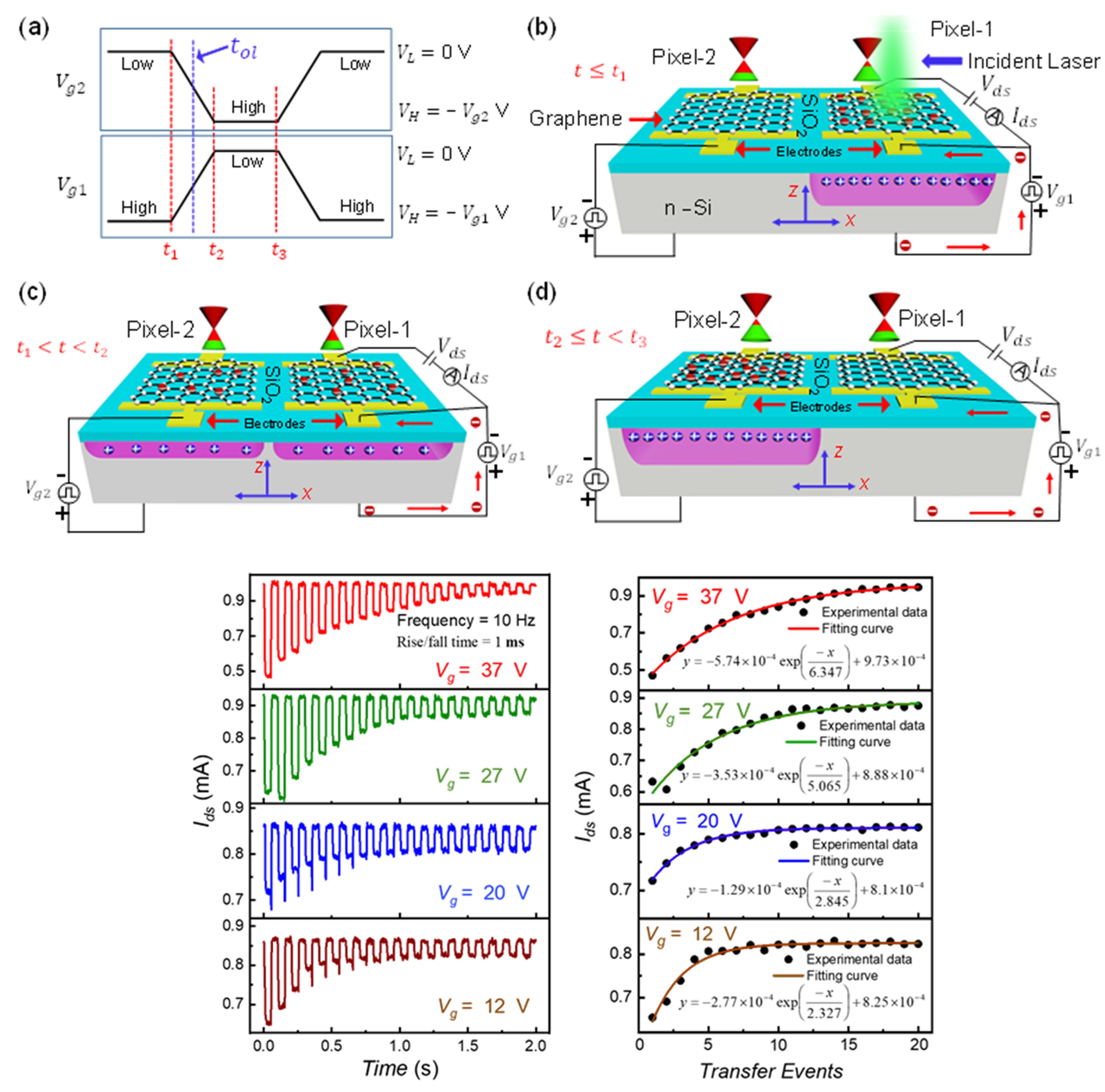In-Situ Monitoring of Reciprocal Charge Transfer and Losses in Graphene-Silicon CCD Pixels