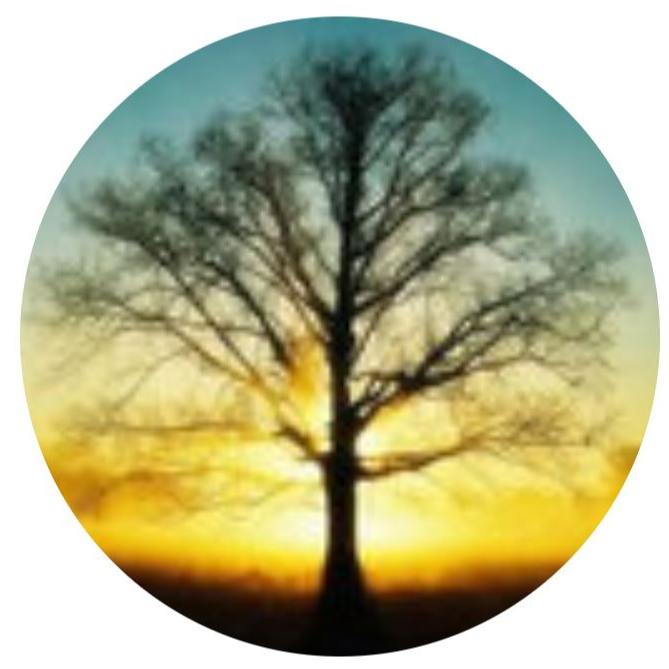 Go to the profile of Doaa Naguib