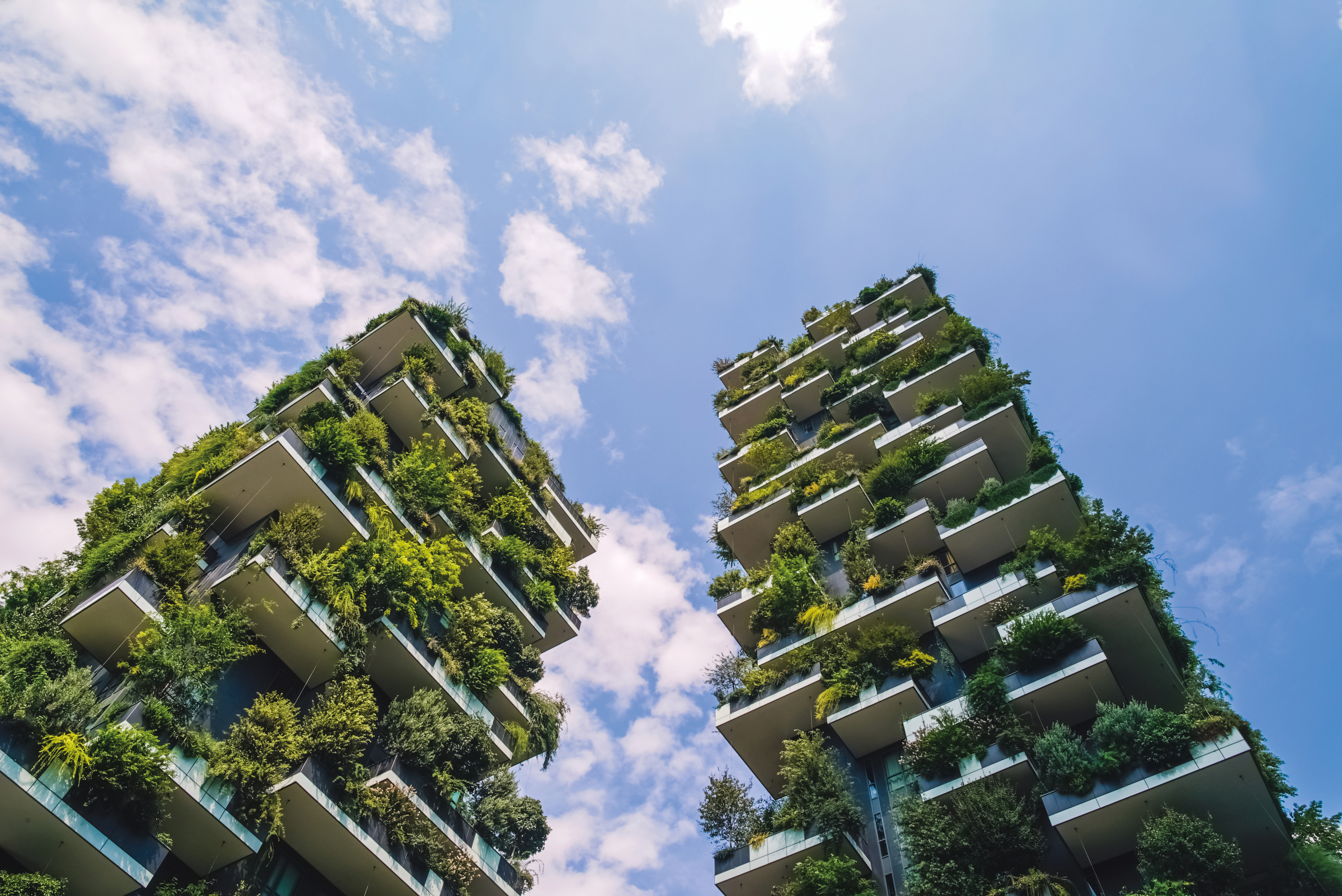 Science and the Sustainable City Summit