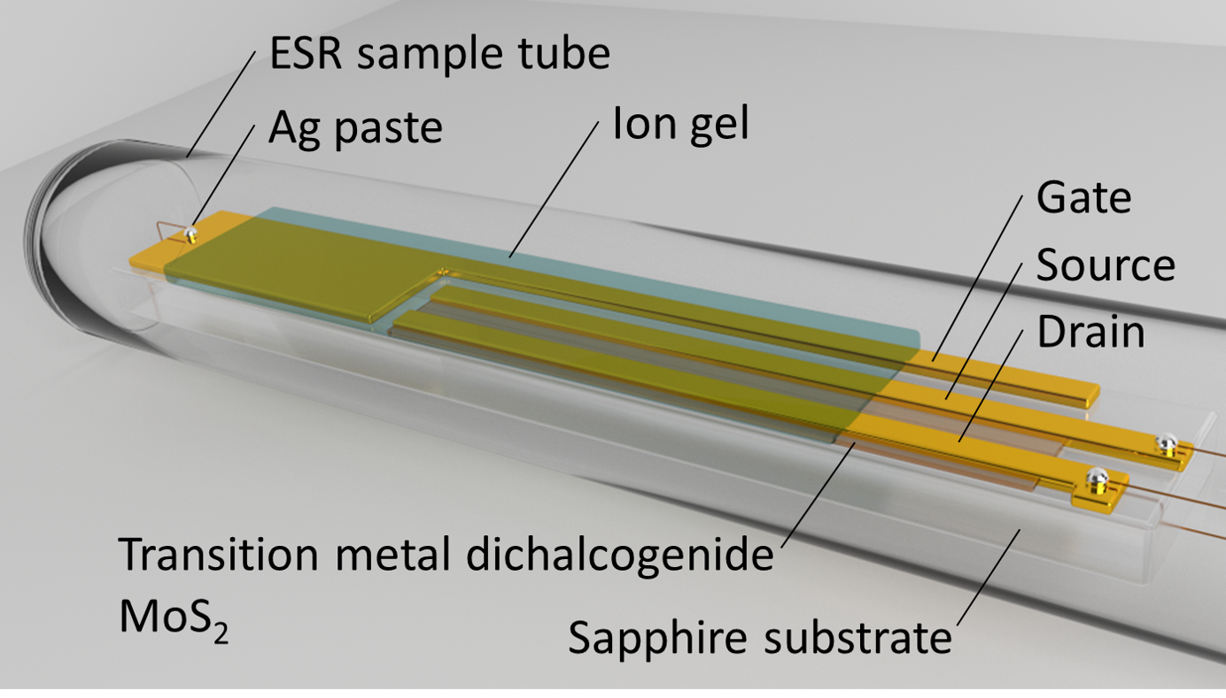 Spin-states in MoS2 thin-film transistors distinguished by operando electron spin resonance