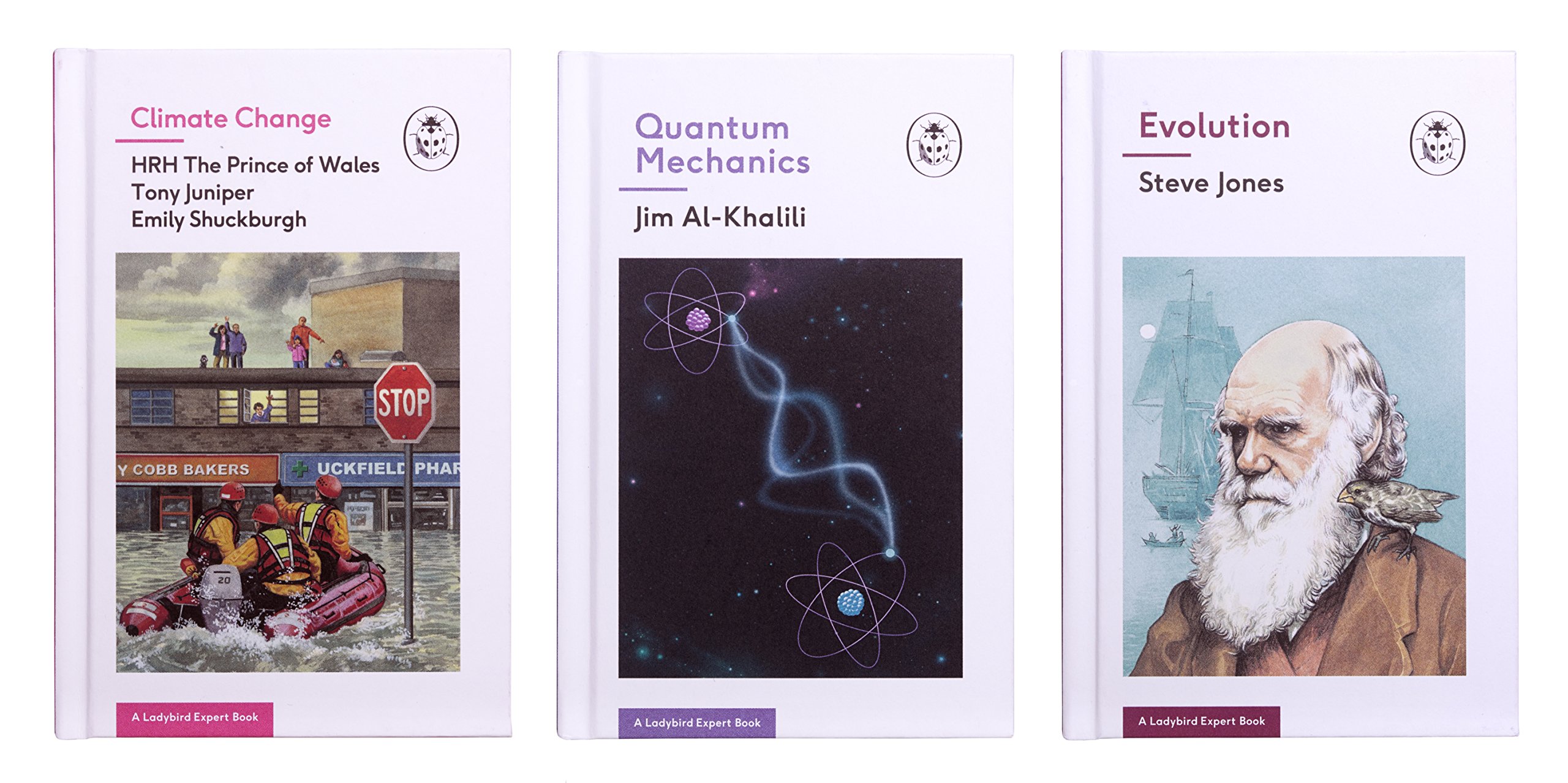 Ladybird Experts