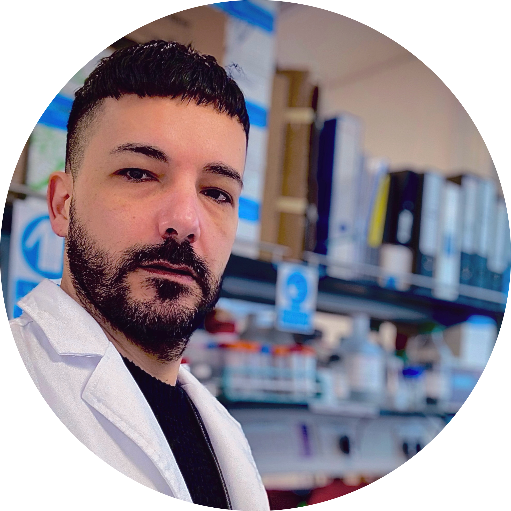 Go to the profile of Michelangelo Certo