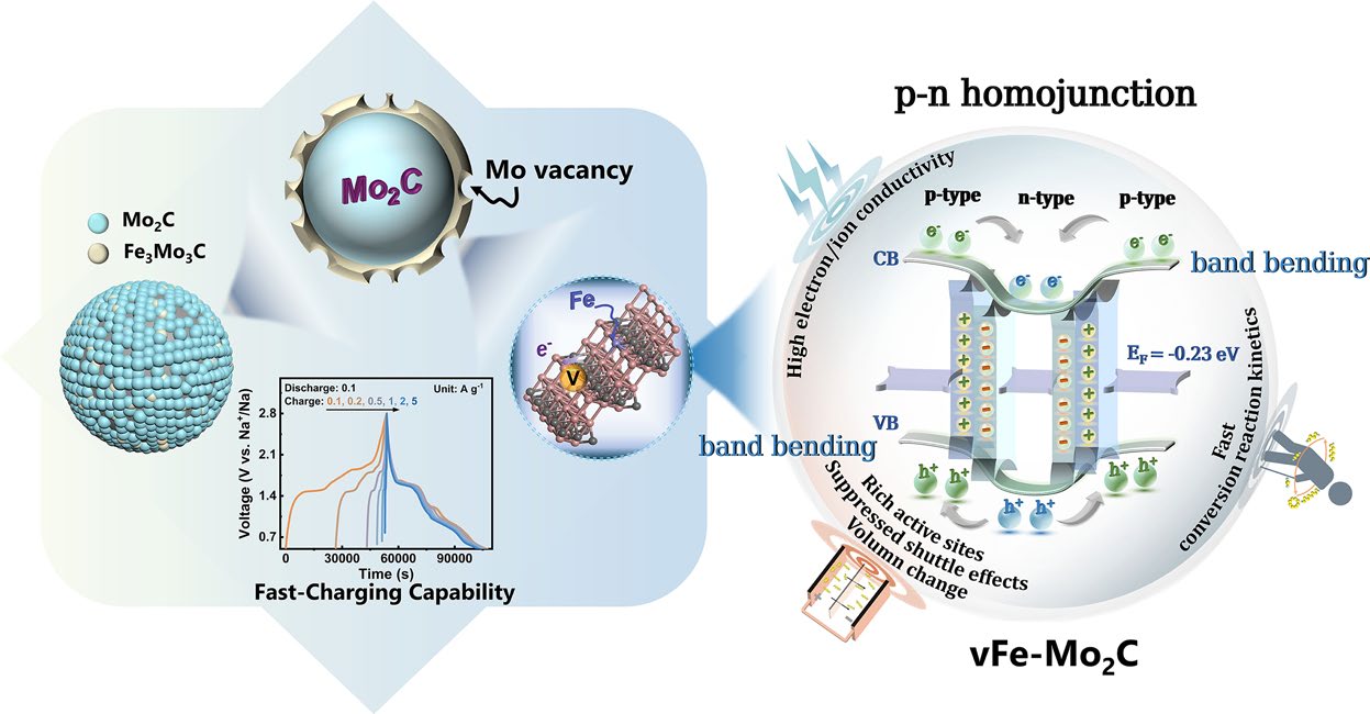Pisiform Homojunction with Energy Band Bending Induced via Co‑Implantation Design Enabling Fast‑Charging Sodium‑Sulfur Battery