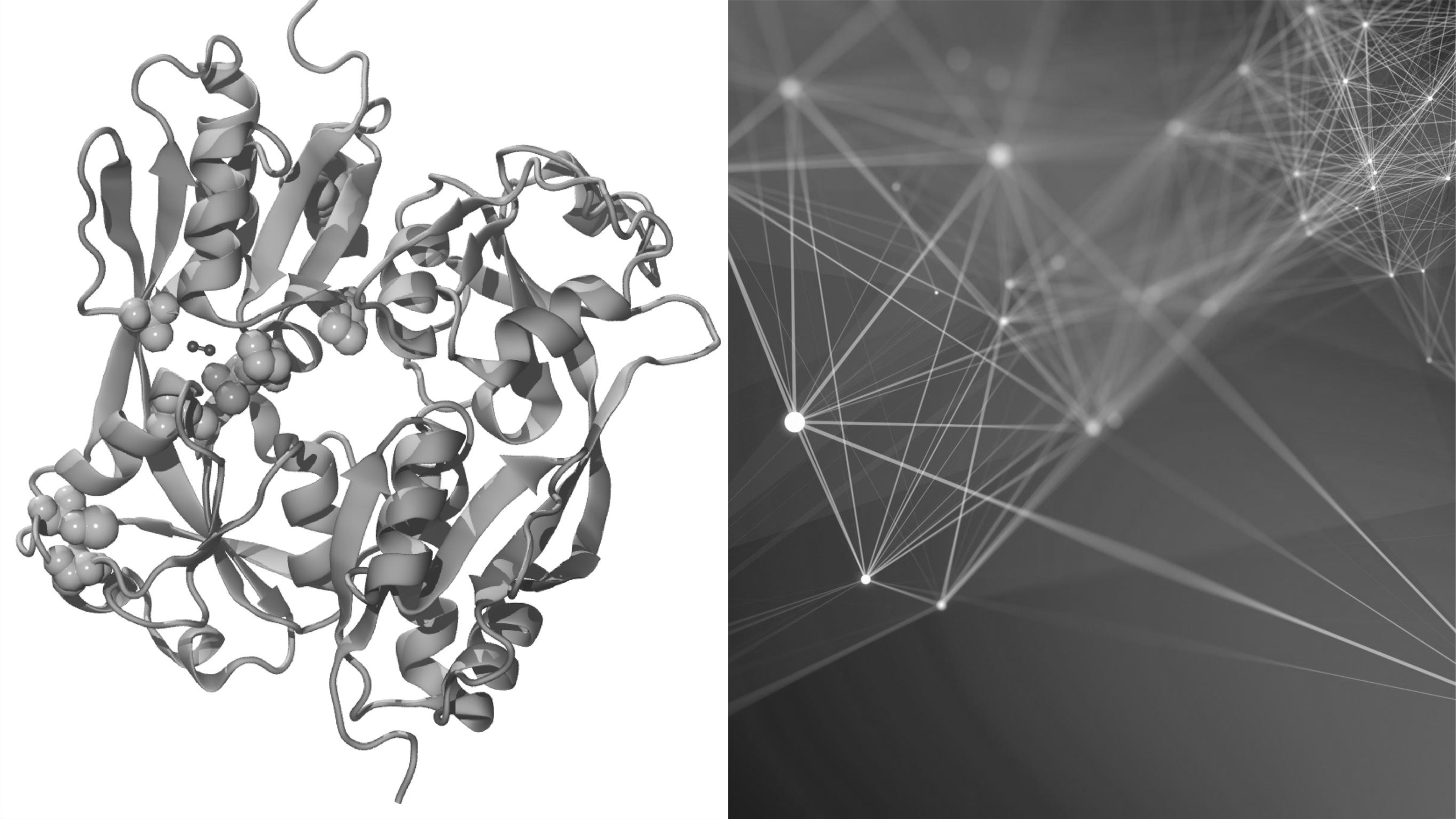 Locking the redox switch: a convergent target of adaptive mutations