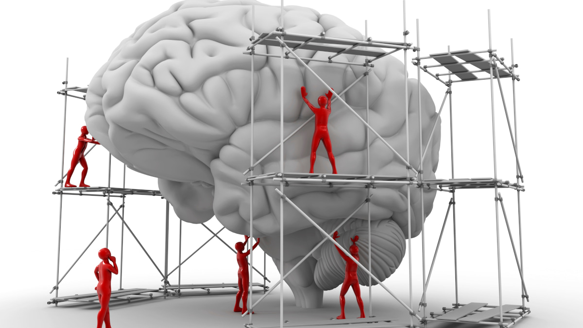Exploring Brain, Behaviour and Mental Health Through Nature Portfolio Cross-Journal Collections