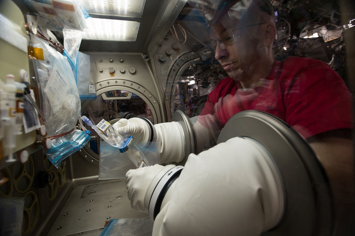 What does microgravity do to the lungs?