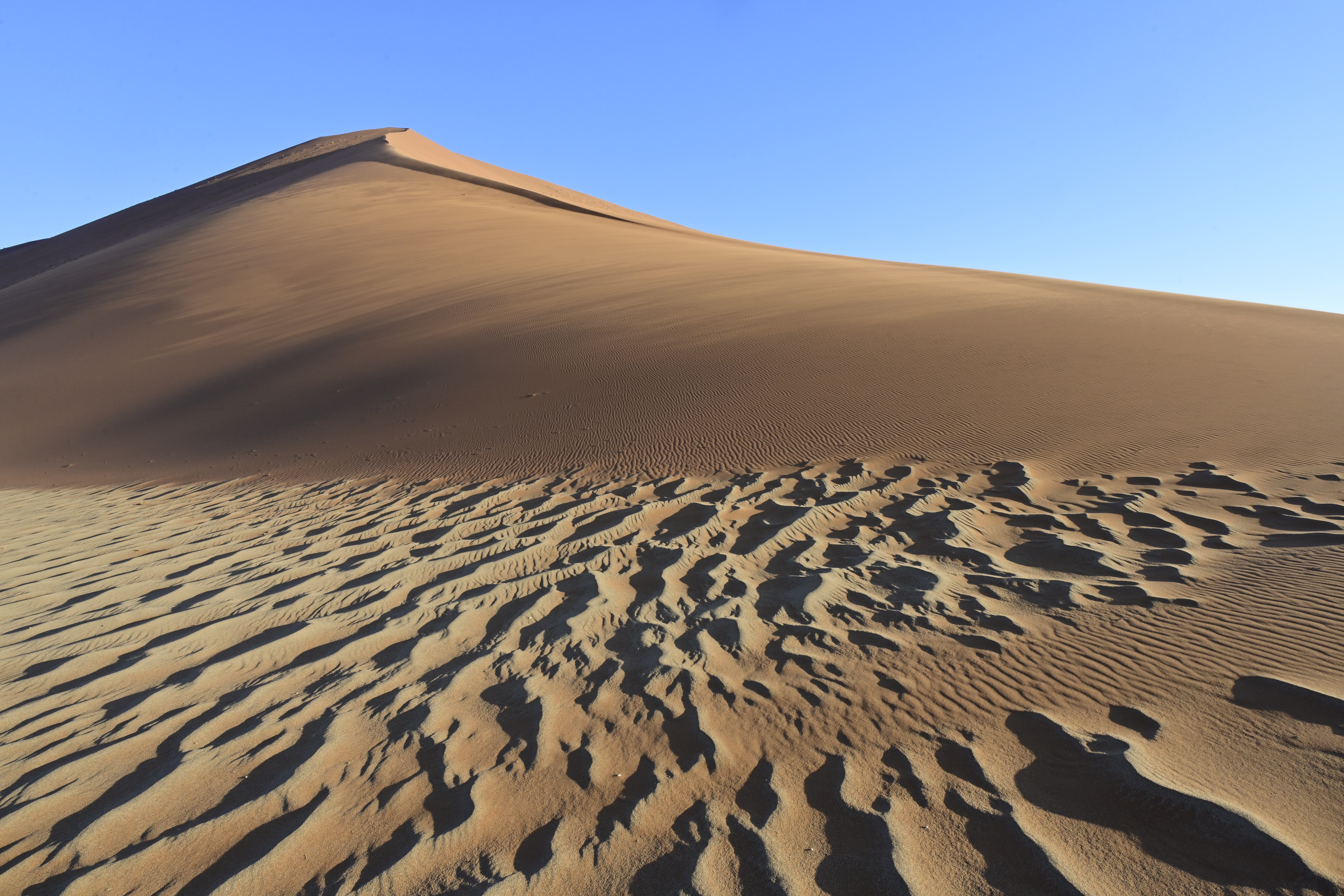 Coevolving aerodynamic and impact ripples on Earth